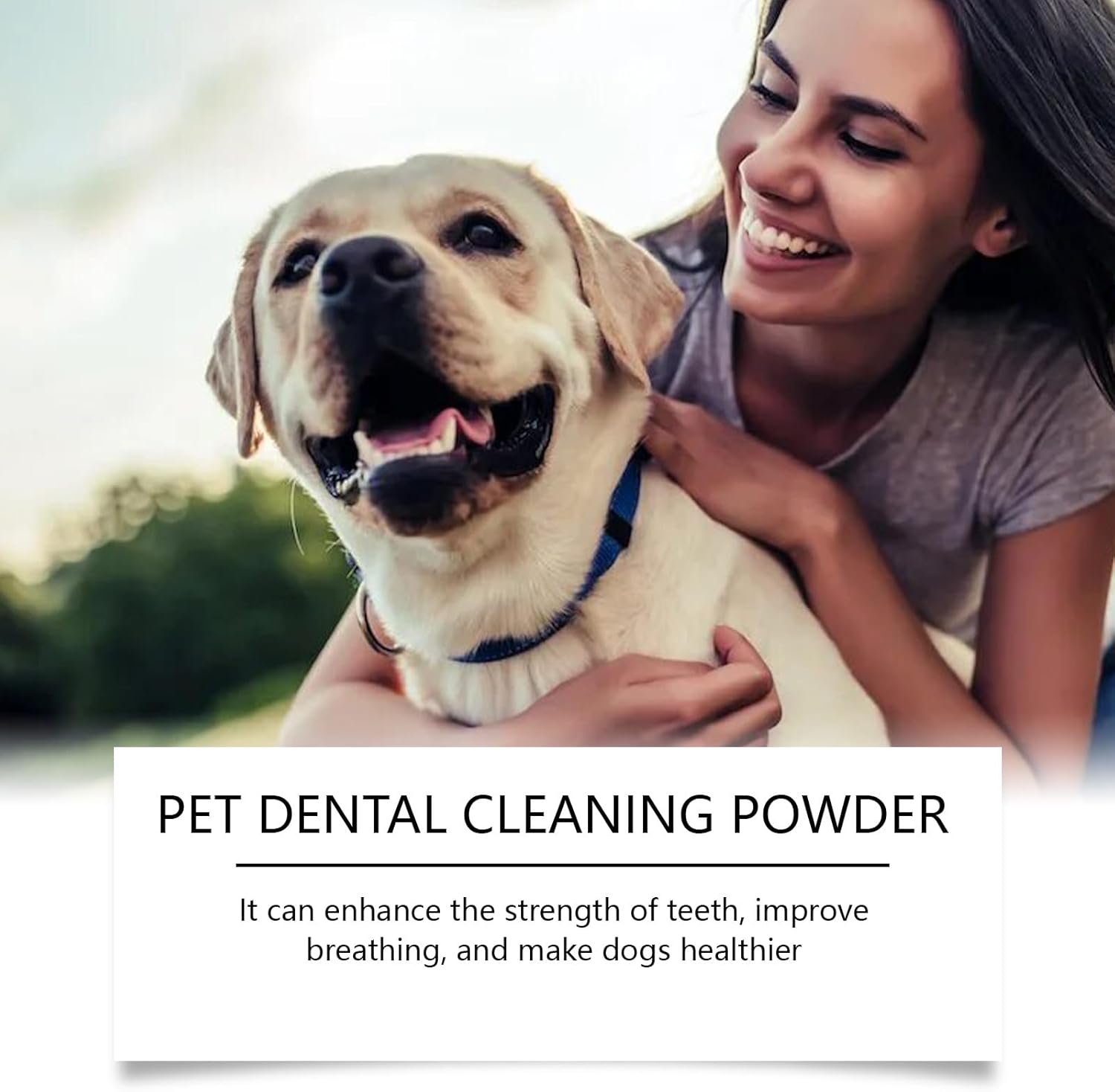 Dog Dental Powder,Dog Teeth Cleaning Powder,Dog Dental Cat Dental Care,Cat and Dog Teeth Cleaning,Canine Plaque Remover Helps Reduce Bad Breath,Improve Pet's Oral Cavity and Freshen Breath(80g) - Image 3
