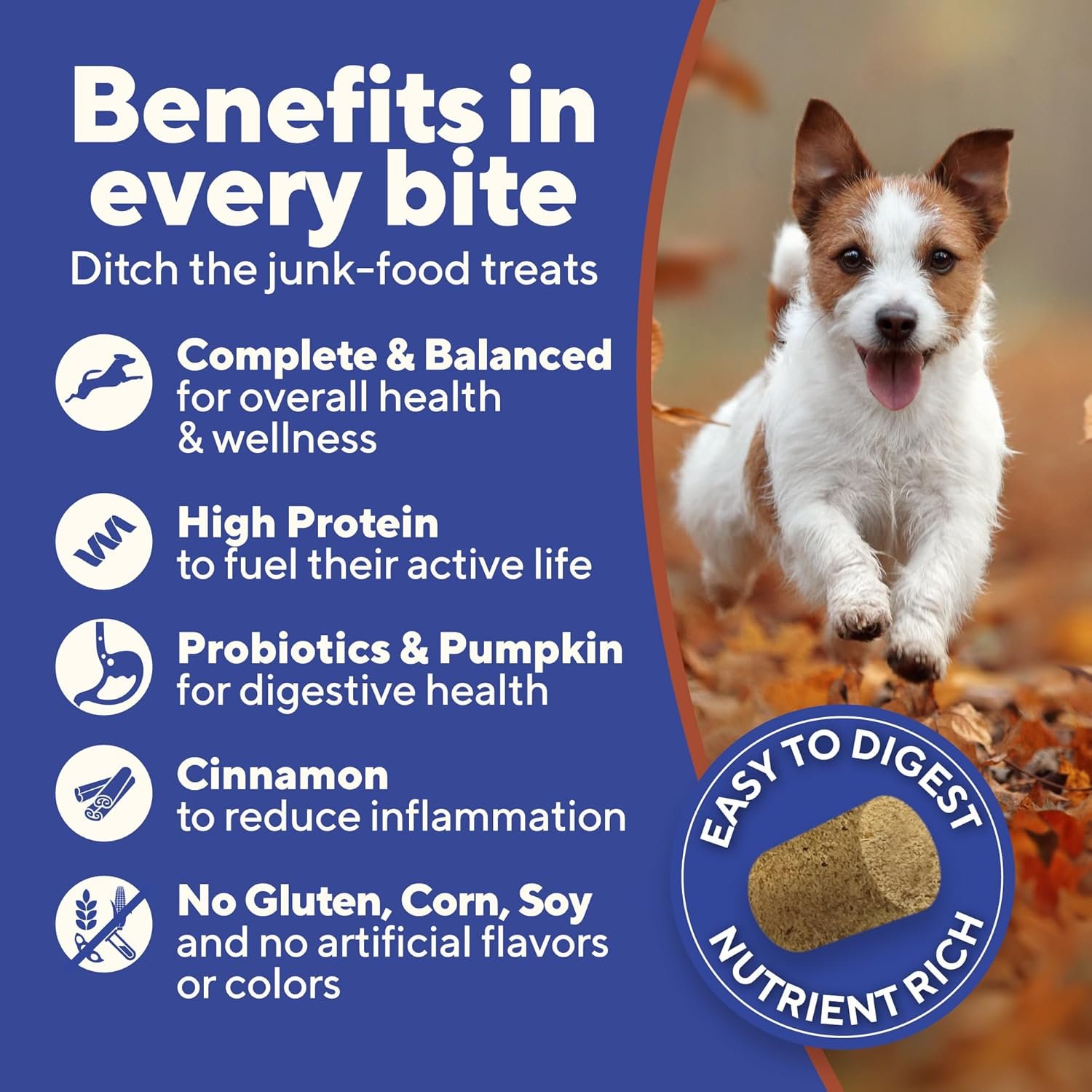 Dave's Pet Food Digesti-Bites Easy to Digest Freeze Dried Chicken Dog Treats with Pumpkin Fiber & Probiotics, Complete & Balanced Nutritious, Freeze Dried Dog Food Topper, USA Made (12 oz) - Image 4