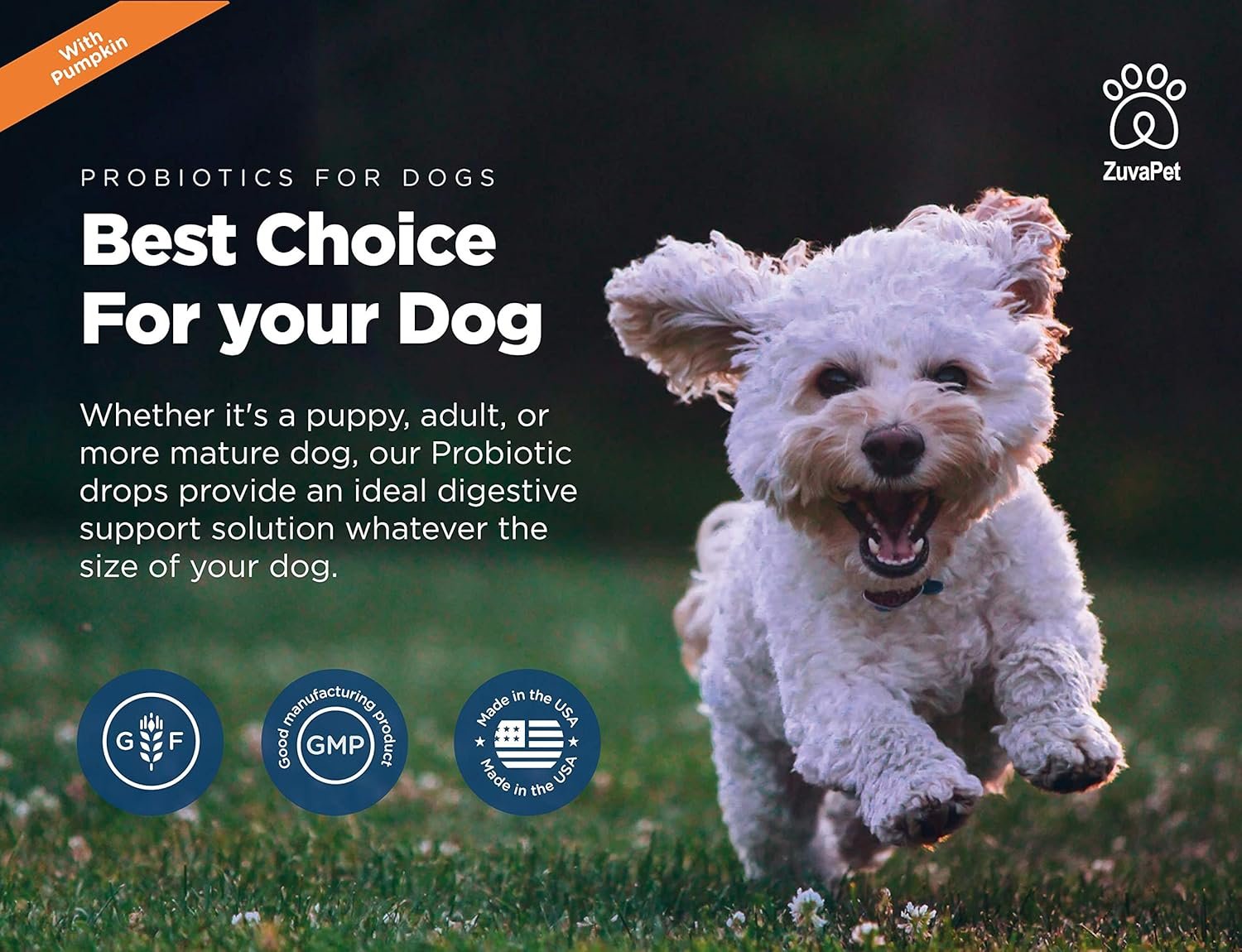 Probiotics for Dogs - Dog Probiotics for Diarrhea - Natural Digestive Enzymes for Upset Stomach Relief + Gas, Constipation Health & Itch Relief - Prebiotic Pet Supplies - 120 Servings - Image 8