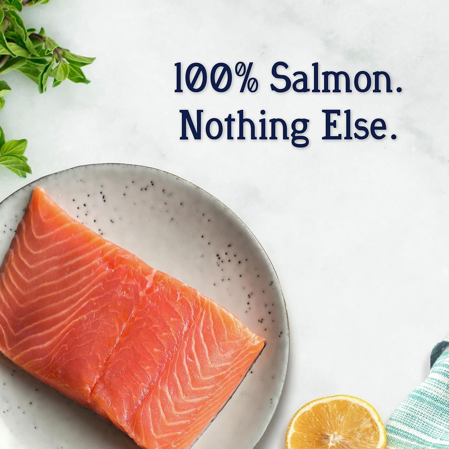 Stewart Single Ingredient Freeze Dried Raw Dog Treats, Wild Salmon, 9.5 Ounce Resealable Tub, Training Treats or Meal Topper Dogs, High Protein, Grain Free, Gluten Free - Image 4