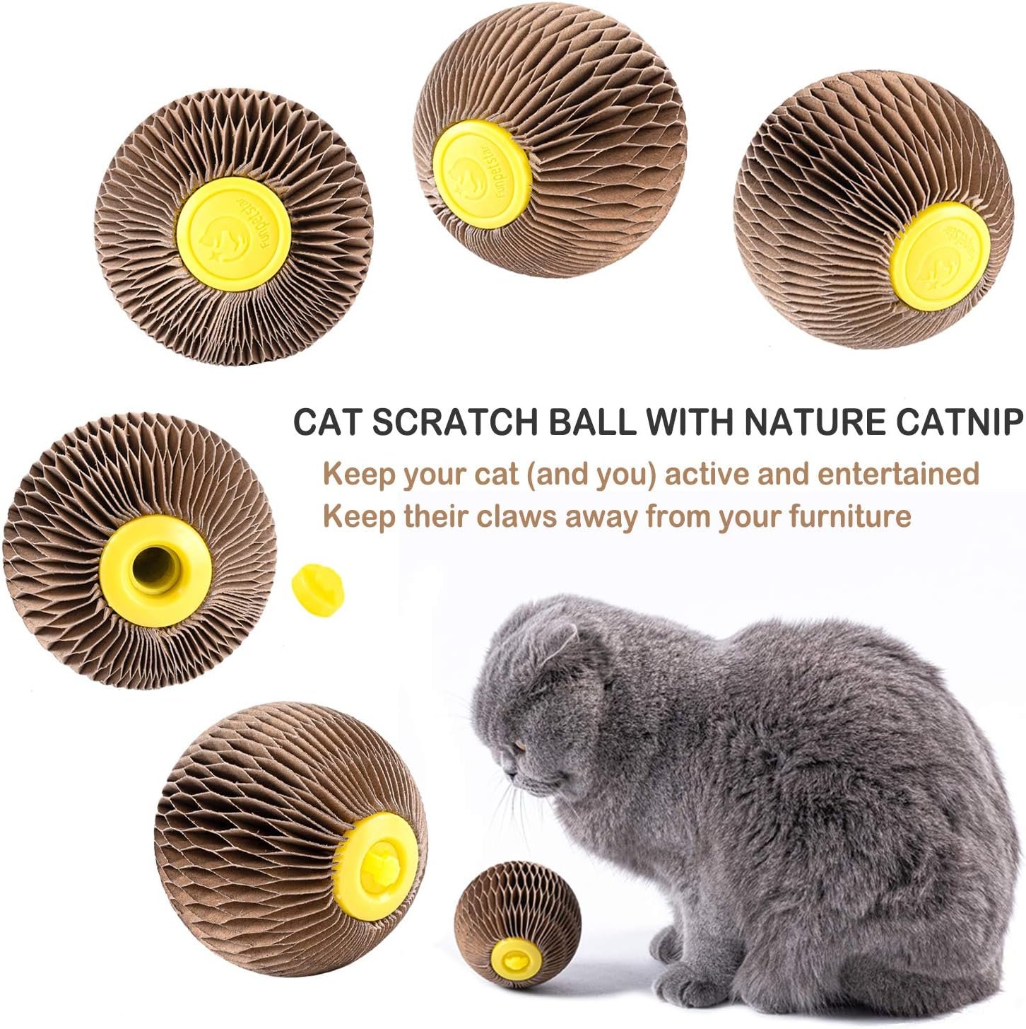AREIIA Catnip Ball Toy for Cats Catnip Refillable Scratcher Ball Kitty's Faithful Playmate Reduce Obesity and Loneliness CSB01BR - Image 8