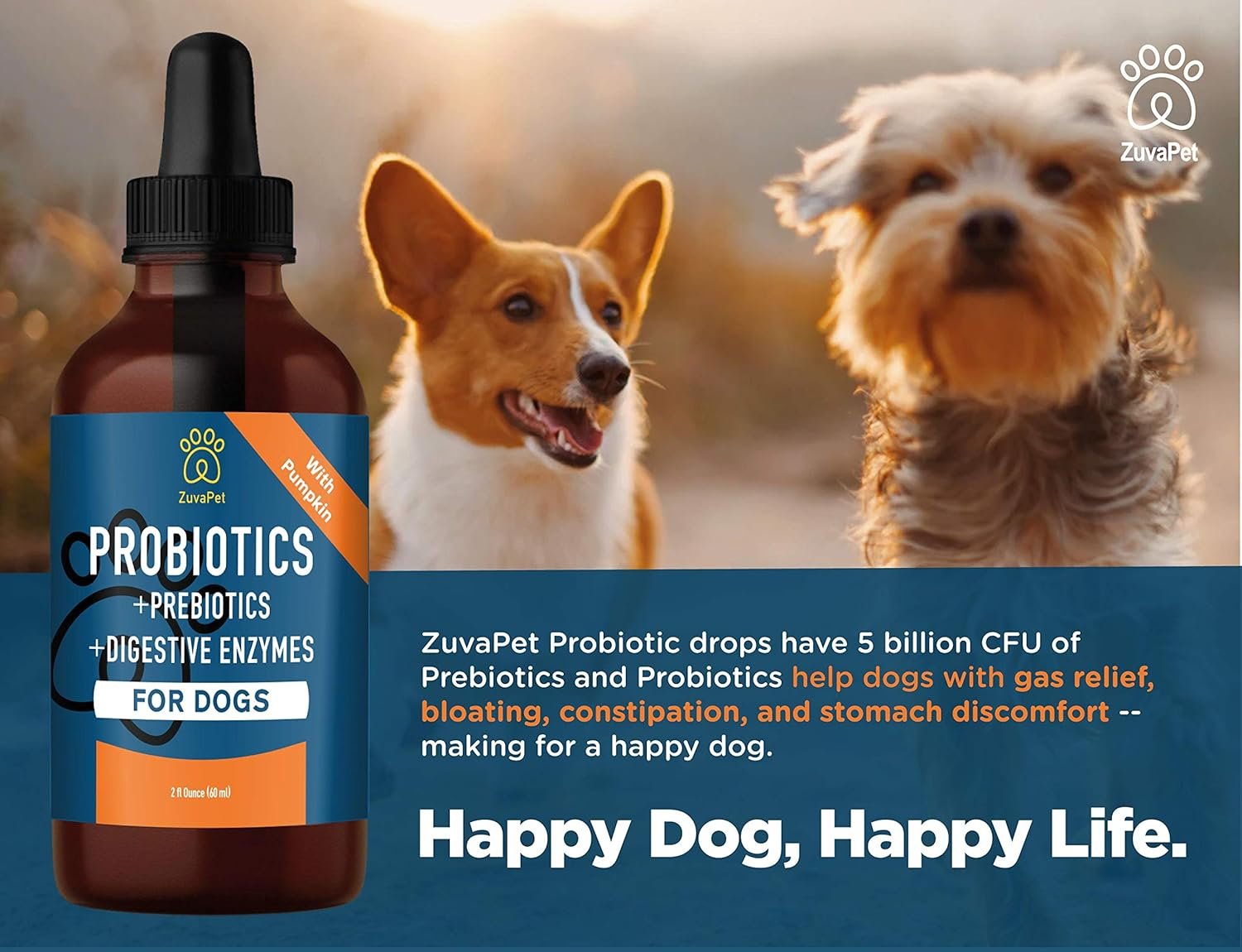 Probiotics for Dogs - Dog Probiotics for Diarrhea - Natural Digestive Enzymes for Upset Stomach Relief + Gas, Constipation Health & Itch Relief - Prebiotic Pet Supplies - 120 Servings - Image 6