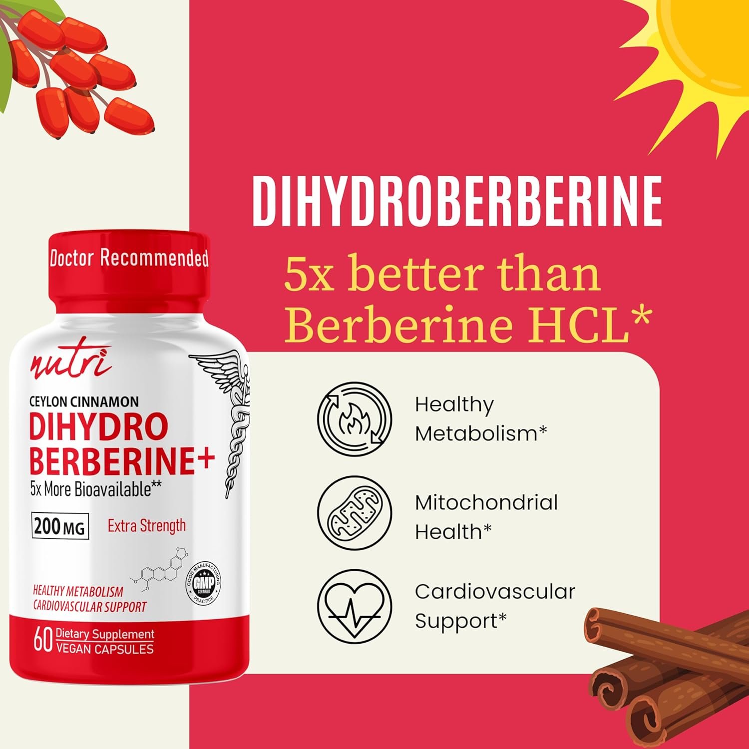 Dihydroberberine Supplement 200mg 60 Capsules - With Ceylon Cinnamon - 5X More Effective Than Regular Berberine HCL - Super Berberine with Ceylon Cinnamon - Dihydroberberine with Ceylon Cinnamon - Image 8