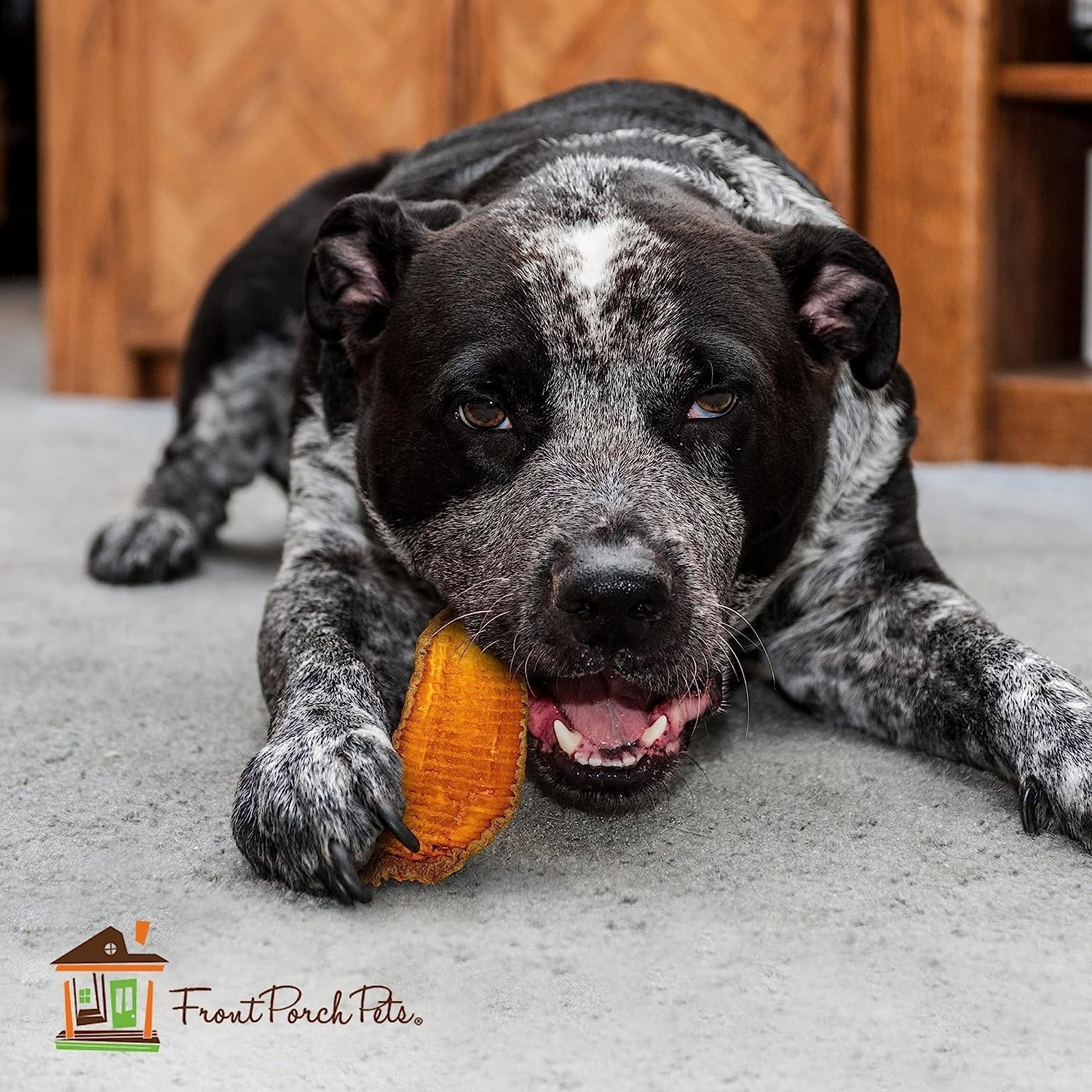 Sams Yams Sweet Potato Dog Treats, Healthy Dog Treats for Large Dogs - Sweet Potato Dog Treats Made in USA, High Fiber, Vegan Dental Chews - Big Boyz, Sweet Potato Dog Chewz, 15oz (Pack of 3) - Image 9