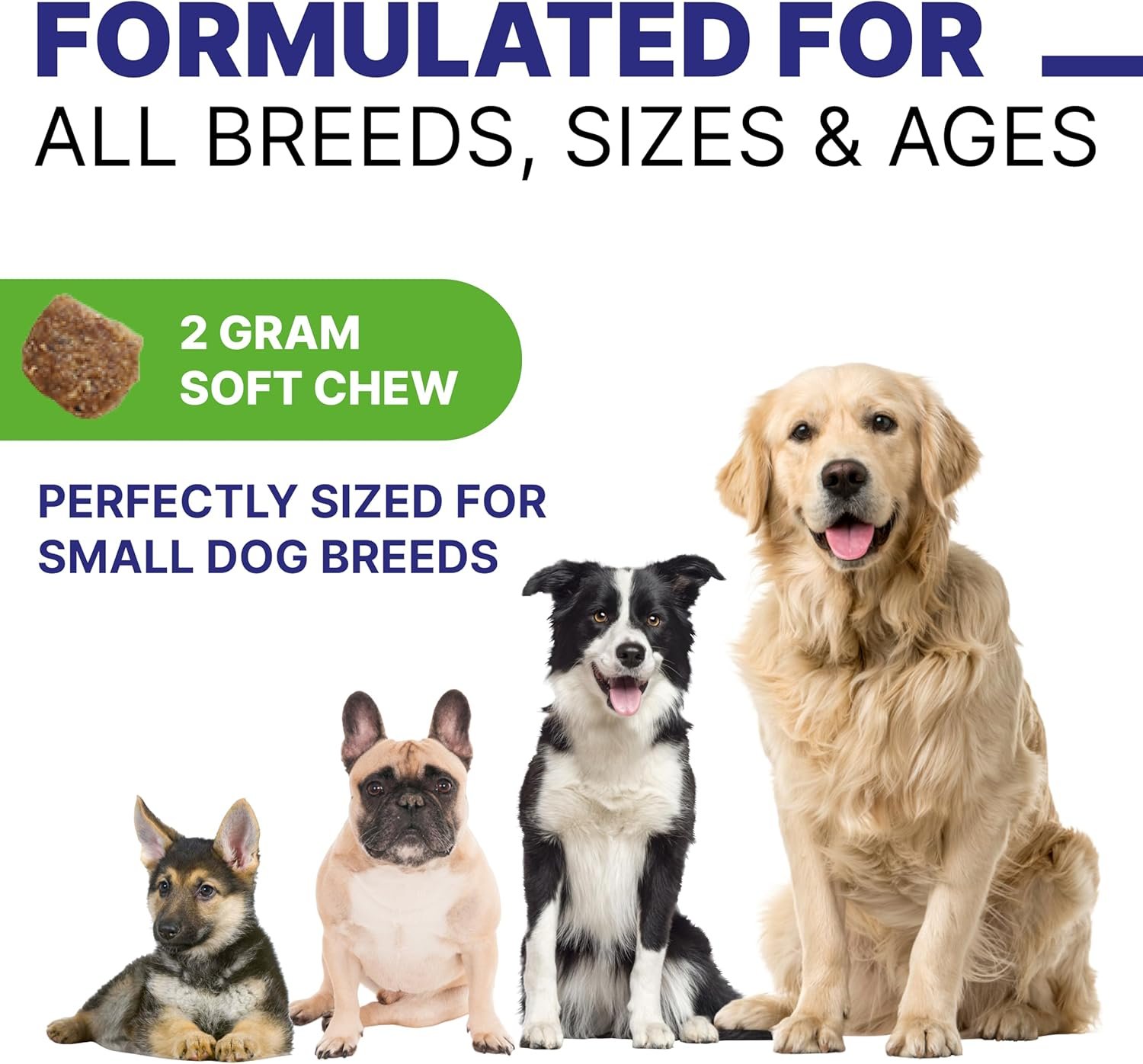 Advanced Dog Probiotics & Digestive Enzymes |Gut Health| Chews for Digestion, Allergy Yeast, Itchy Skin- Prebiotics Fiber Supplement - Diarrhea Gas Upset Stomach Relief Treats - 120 Chews - Image 7