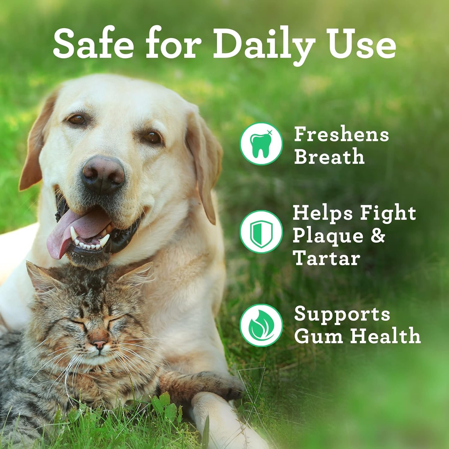 VetPro Complete Advanced Dog Dental Wipes, 50 Count, Easy Teeth Cleaner for Dogs and Cats with Peppermint and Spearmint, Freshens Breath, Reduces Tartar - Image 4