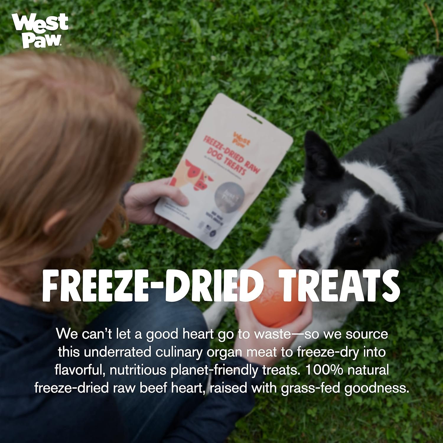 WEST PAW Freeze-Dried Raw All Natural Dog and Puppy Training Treats, Single Ingredient, Humanely Raised and Sustainably Sourced, Made in USA, Beef Heart, 2 Pack - Image 5