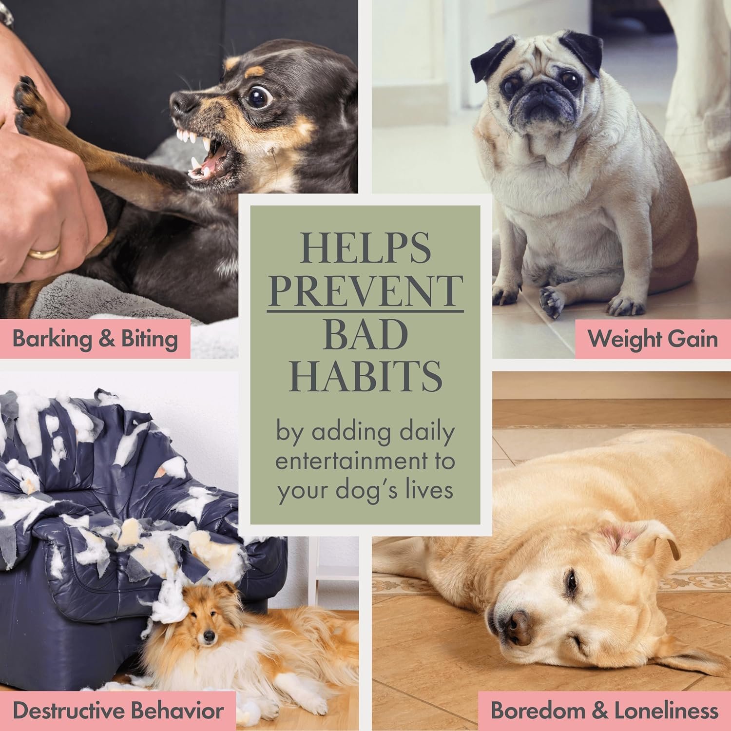 Organic Cotton Squeaky Dog Toys Fruits & Veggies Dog Toy Pack - Handmade Knit Dog Accessories, for Small Medium Dogs, Puppy Essentials and Puppy Toys Dog Christmas Gift - Image 9