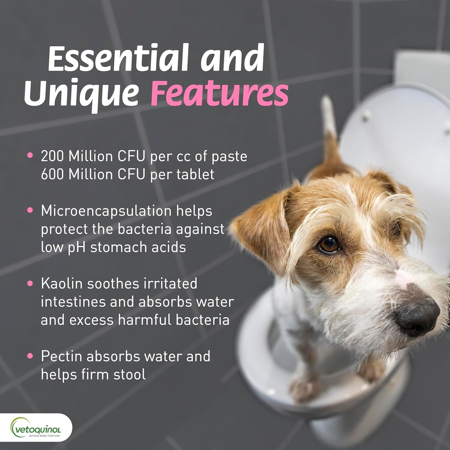 Pro-Pectalin Chewable Tablets for Dogs & Cats, Helps Relieve Occasional Diarrhea in Cats and Dogs, Situational Diarrhea Relief with Kaolin and Pectin, Contains Beneficial Probiotic Bacteria, 250ct - Image 5