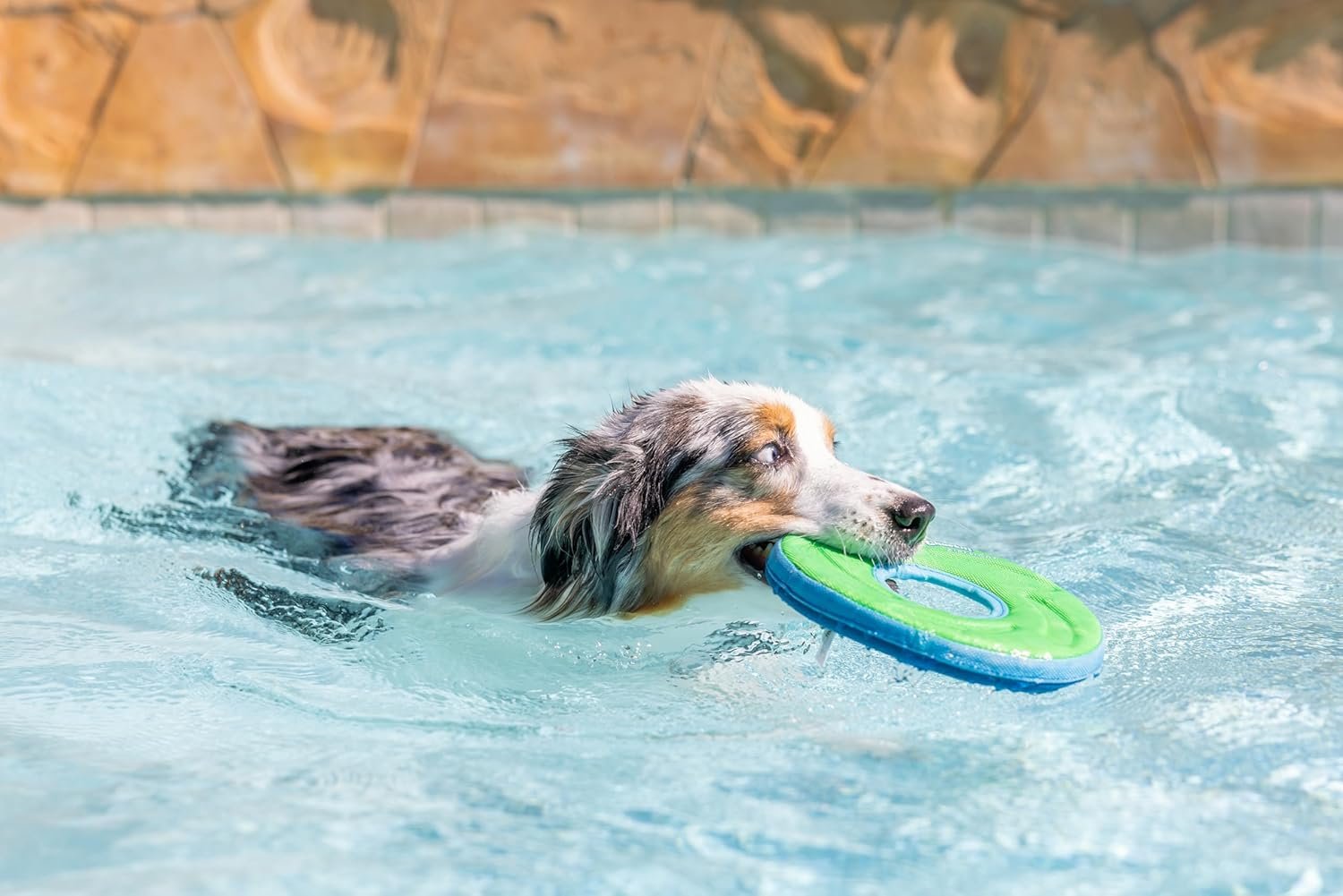 ChuckIt! Zipflight Flyer Dog Frisbee & Dog Toy that Floats; Gentle On Dog's Teeth and Gums; Medium - Image 6