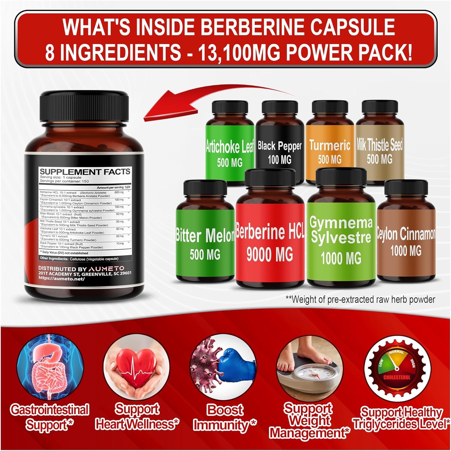 8 in 1 Berberine Supplement - Equivalent to 13100mg per Capsule - Support Digestion, Immunity - with Ceylon Cinnamon, Milk Thistle, Turmeric, Bitter Melon - Image 4