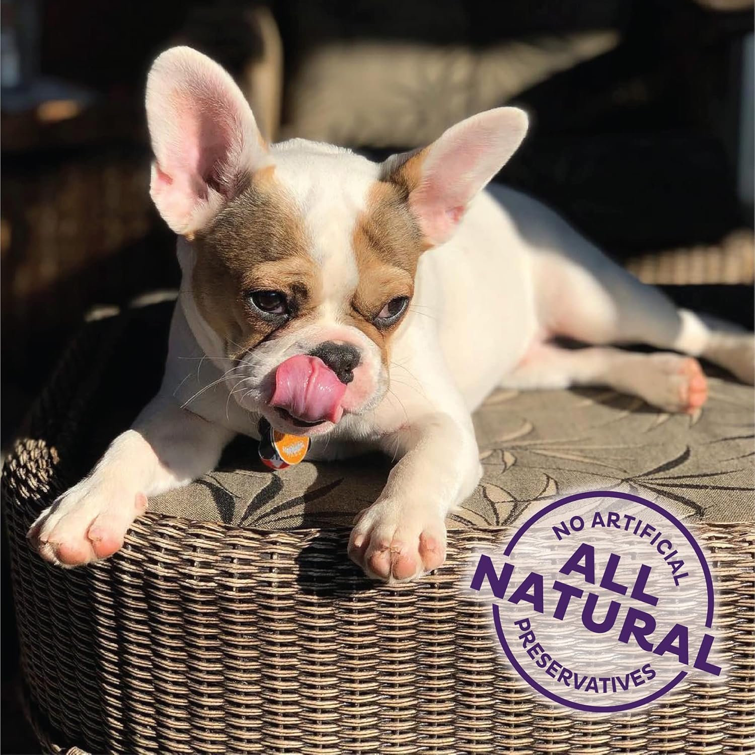 Wellness Old Mother Hubbard Training Bitz Assorted Mix Natural Oven-Baked Biscuits Dog Treats, 8 Ounce Bag - Image 6