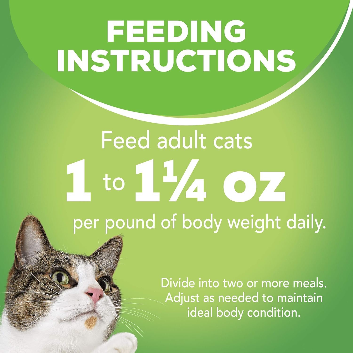 Purina Friskies Indoor Cat Food 24ct VP - (Chicken and Turkey Casserole, Saucy Seafood Bake, Homestyle Turkey Dinner) - (Pack of 24) 5.5 oz. Cans - Image 11
