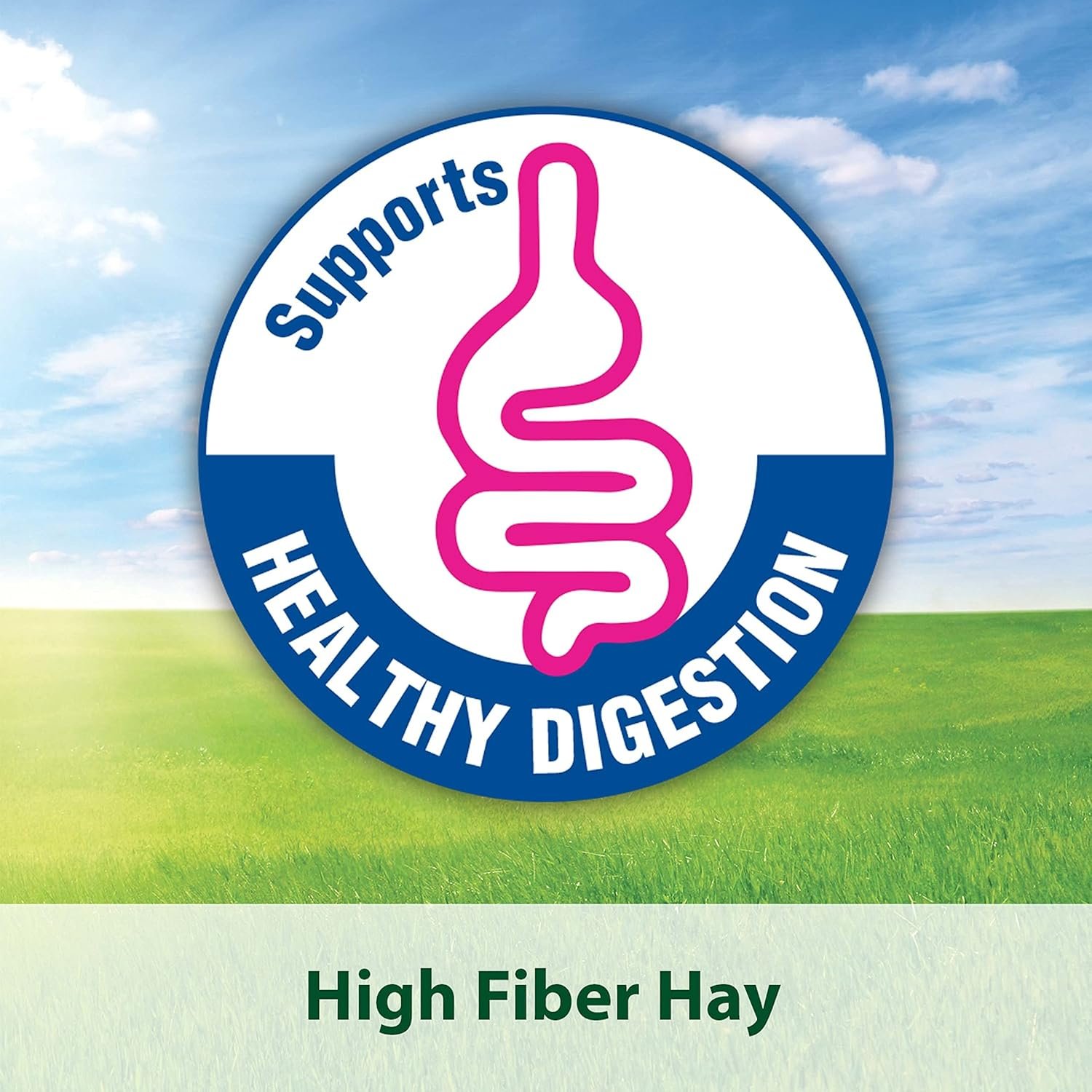 Kaytee Timothy Hay Blend Cubes for Pet Rabbits, Guinea Pigs, Chinchillas, and Other Small Animals, 1 Pound - Image 6