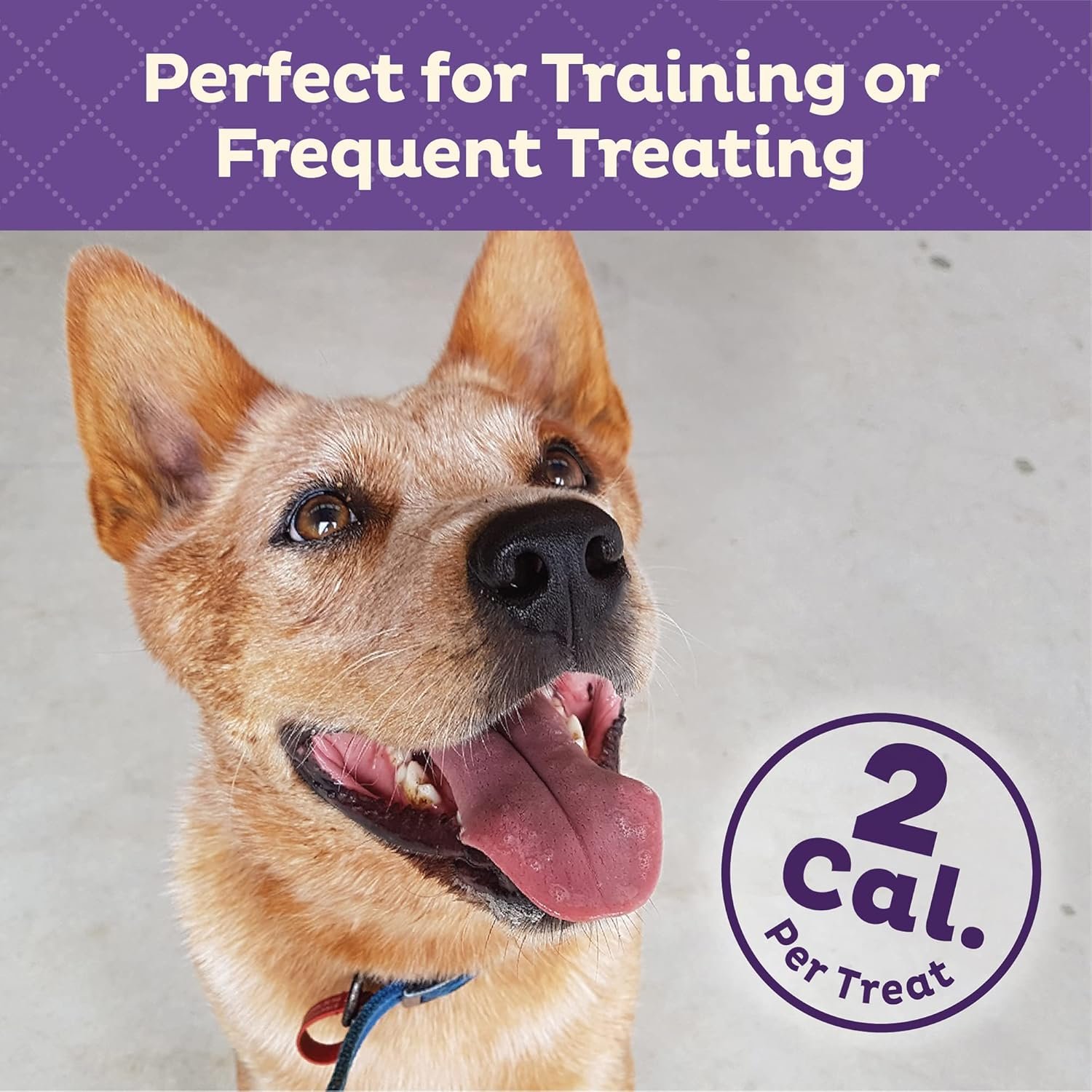 Wellness Old Mother Hubbard Training Bitz Assorted Mix Natural Oven-Baked Biscuits Dog Treats, 8 Ounce Bag - Image 5