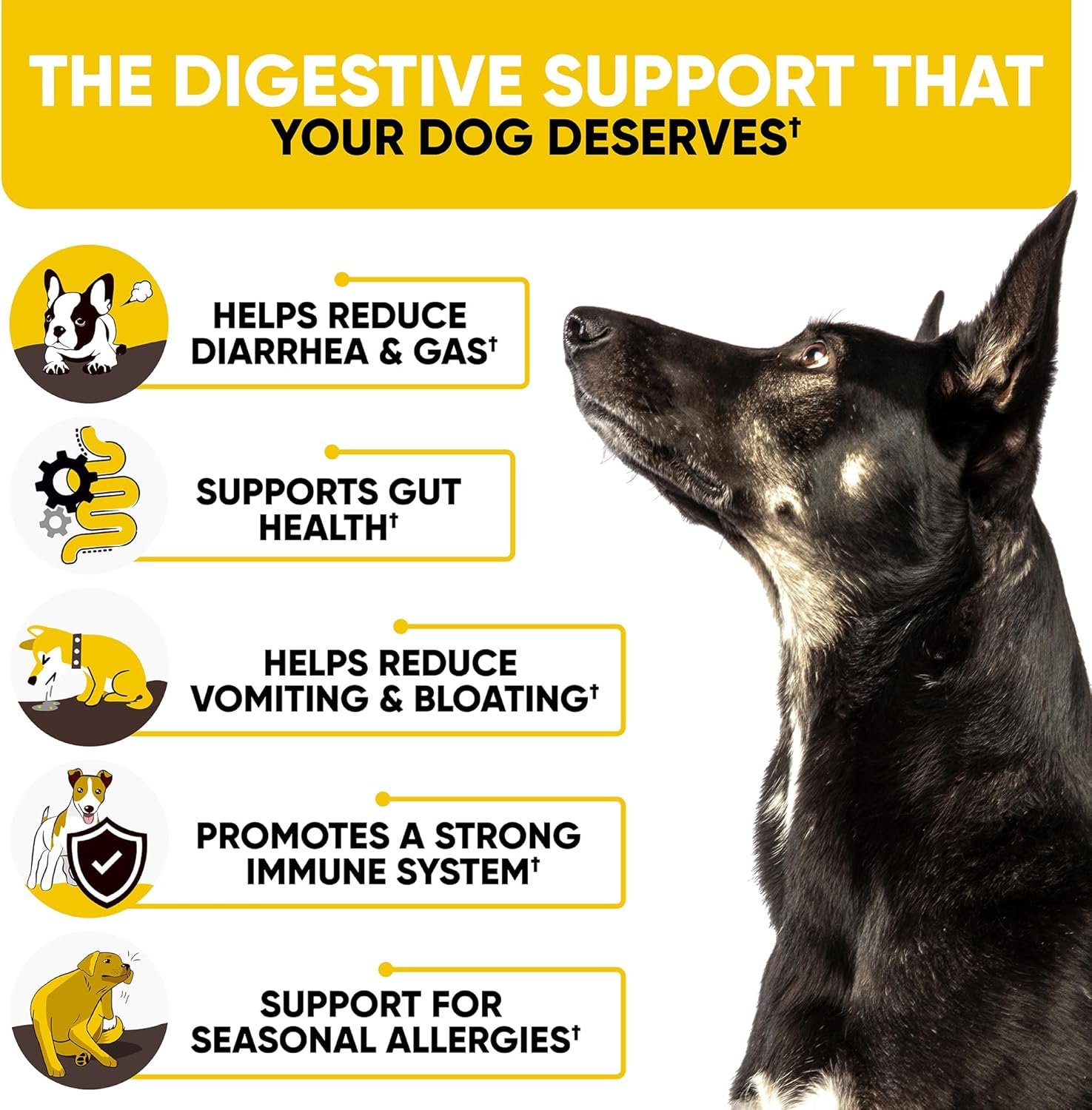 Probiotics Chews for Dogs w/Digestive Enzymes - Dog Probiotics to Support Gut Health, Alleviate Dog Itch, Soothe Itchy Skin, Dog Allergy Relief - Good for Immunity & Dog Itching Skin Relief -180 ct - Image 5