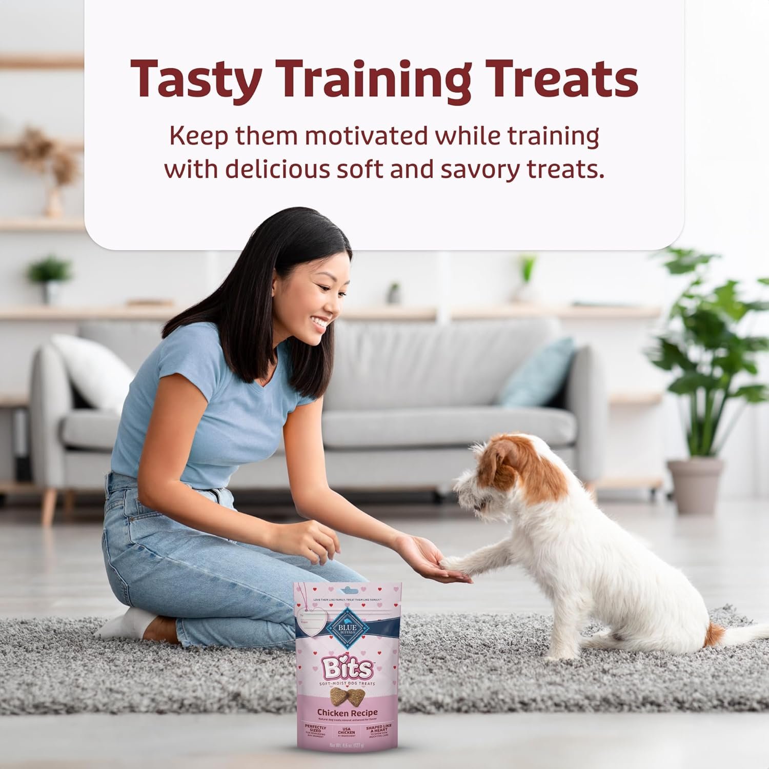 Blue Buffalo Valentine's Day Edition Bits Dog Training Treats, Chicken Recipe, 4.5-oz Bag - Image 5