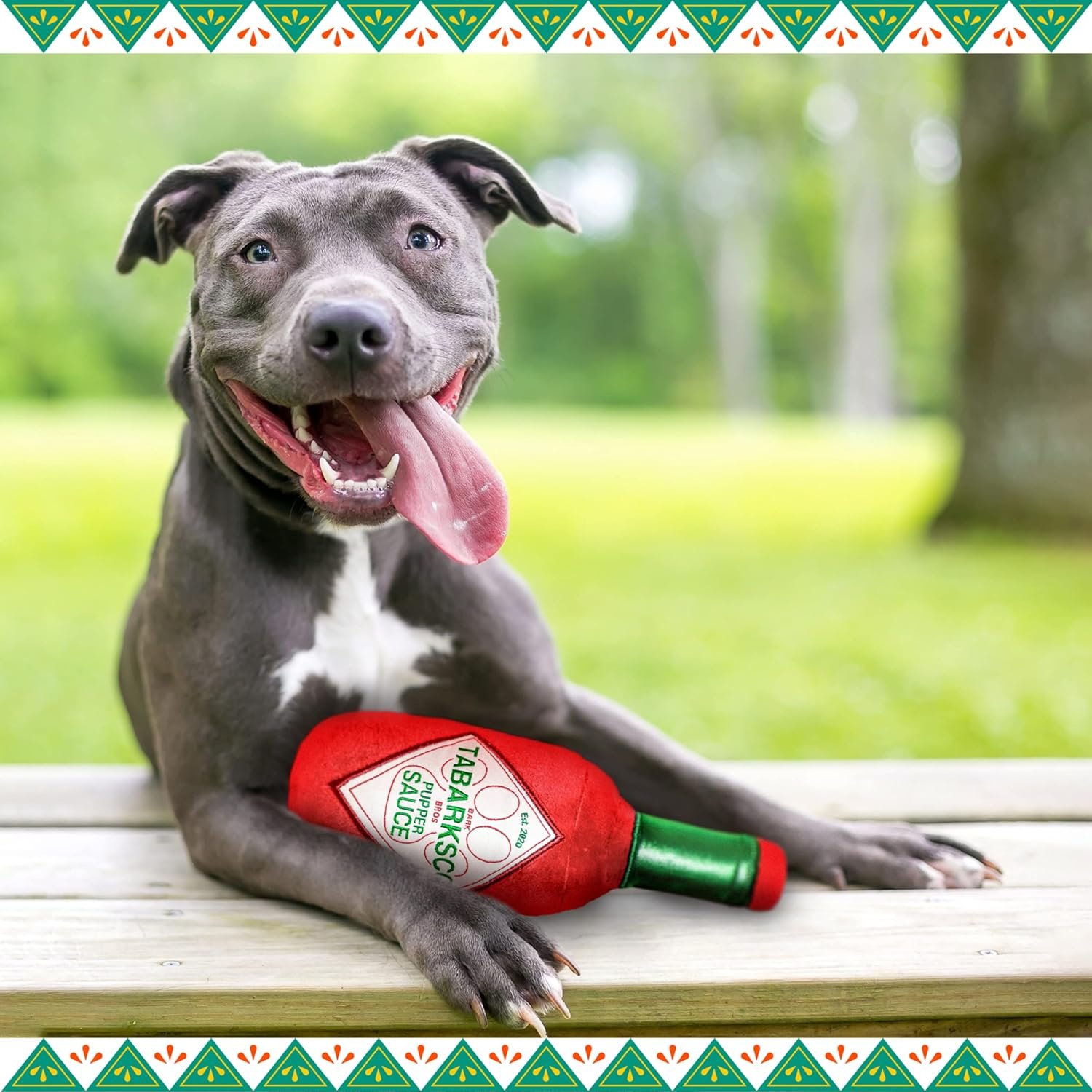 Bark Bros - Sauce Bottle Dog Toys - Plush Squeaky Dog Toys Funny Parody - Dog Birthday Toy - Cute Dog Toys - Puppy Toys - Puppy Gifts - Dog Toys for Small, Medium, Large Dogs (Tabarksco) - Image 7