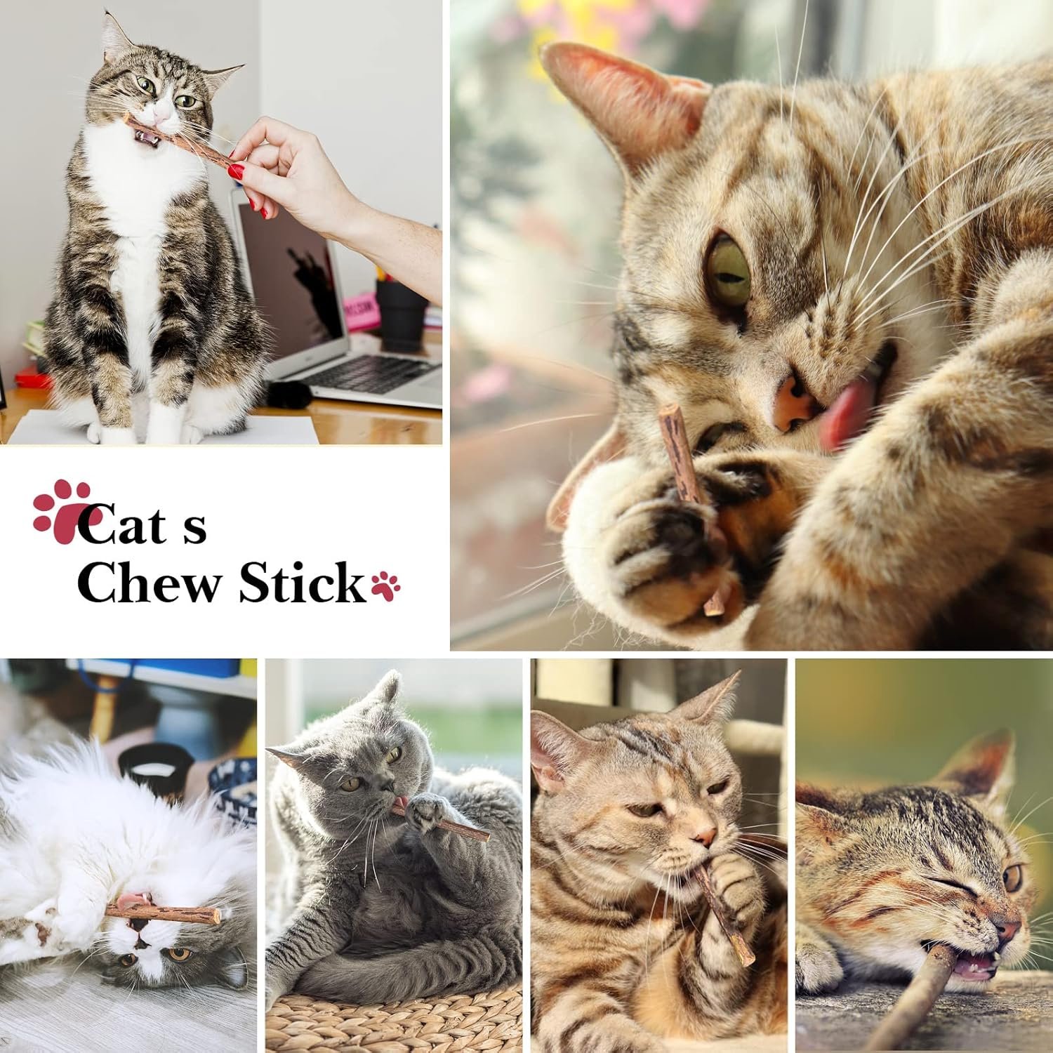 32 PCS Cat Toys Kitten Toys, Variety Catnip Toys with Rainbow Tunnel Interactive Cat Feather Teaser Fluffy Mouse Crinkle Balls Spring Toy Set for Cat, Kitty - Image 8