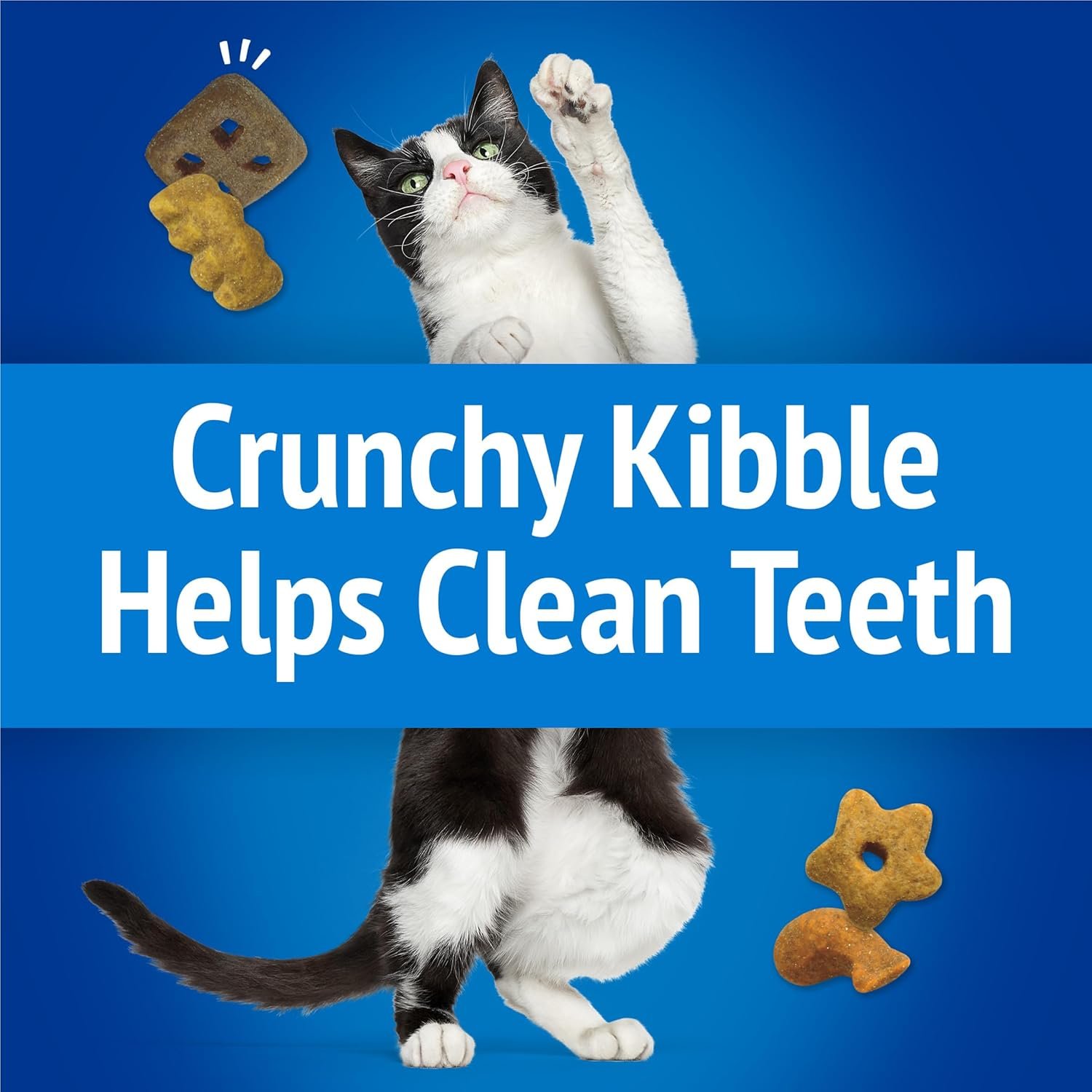 Purina Friskies Cat Treats, Party Mix Beachside Crunch - 20 oz. Pouch - Image 5