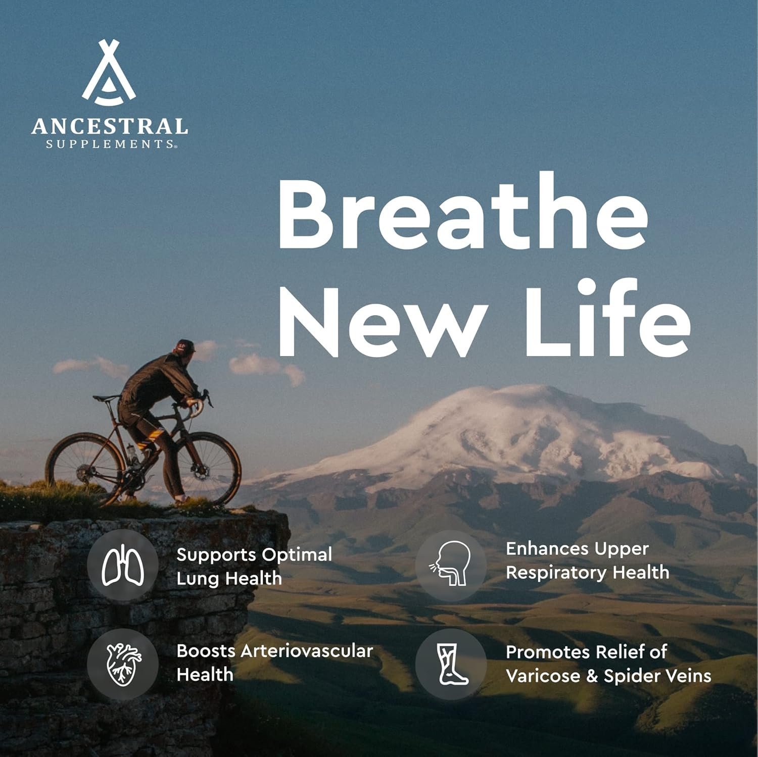 Ancestral Supplements Grass Fed Beef Lung Supplement with Liver, 500mg, Lung and Liver Supplement Supports Lung, Respiratory, Vascular, and Circulatory Health, Non-GMO, 180 Capsules - Image 4