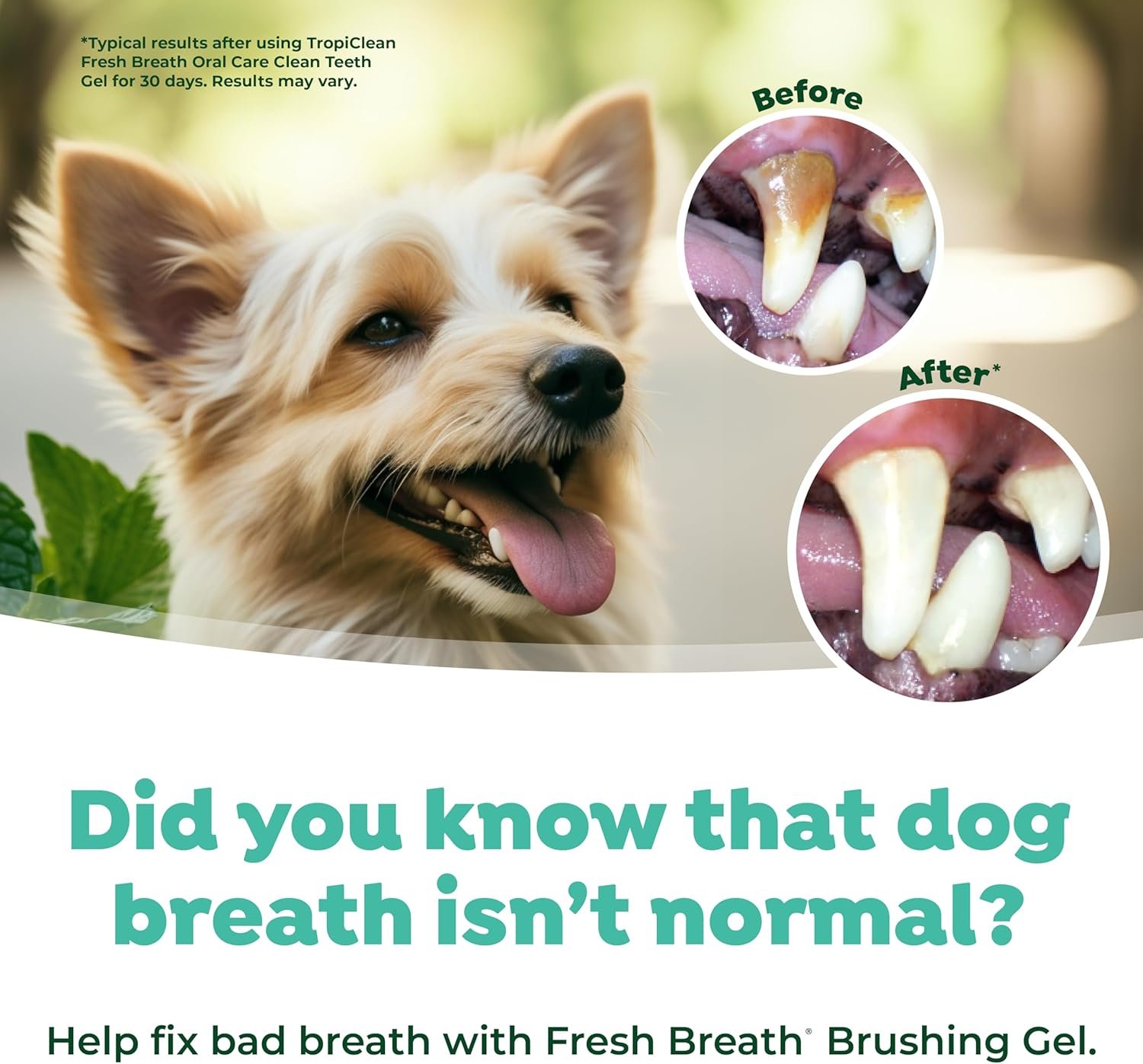 TropiClean Oral Care Brushing Gel for Dogs & Cats| Dog Toothpaste | Pet Dental Gel | Dog Teeth Cleaning Use with Pet Toothbrush | 2 oz - Image 6