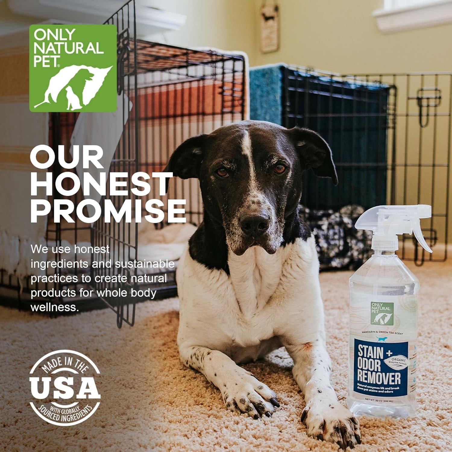 Only Natural Pet Enzyme Powered Stain & Odor Eliminator - Professional Pet Urine Pee Cleaner Deodorizer For Dogs - Hardwood Floors Carpets Upholstery - Fresh Mandarin Orange & Green Tea Scent - 32Floz - Image 5
