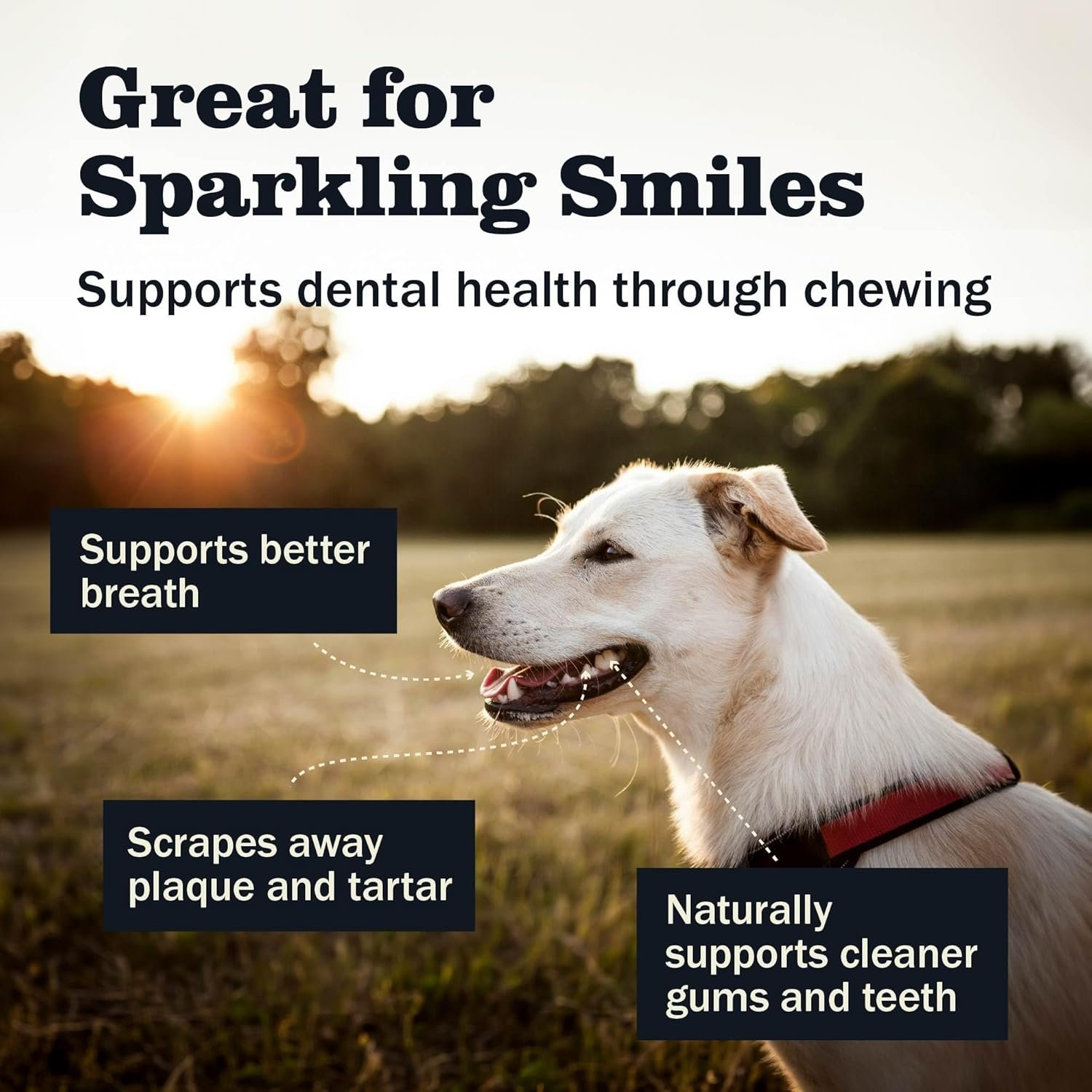 Redbarn Pet Products All Natural 5-8" Bully Sticks for Small & Large Dogs - Healthy Long Lasting Chews Variety Party Pack - 100% Beef Single Ingredient Low Odor Rawhide Free Dental Treats - 8 oz Bag - Image 7