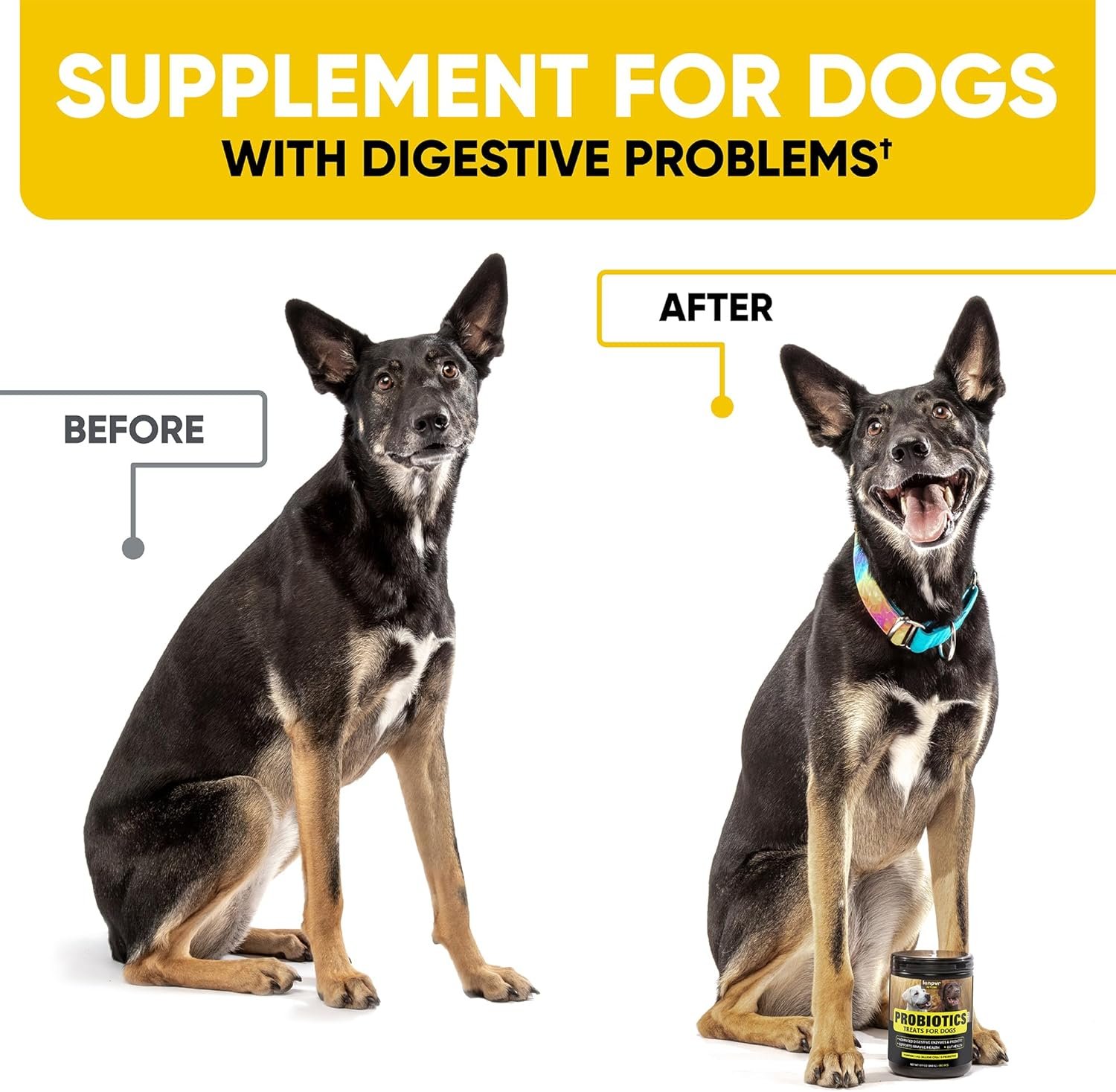 Probiotics Chews for Dogs w/Digestive Enzymes - Dog Probiotics to Support Gut Health, Alleviate Dog Itch, Soothe Itchy Skin, Dog Allergy Relief - Good for Immunity & Dog Itching Skin Relief -180 ct - Image 3