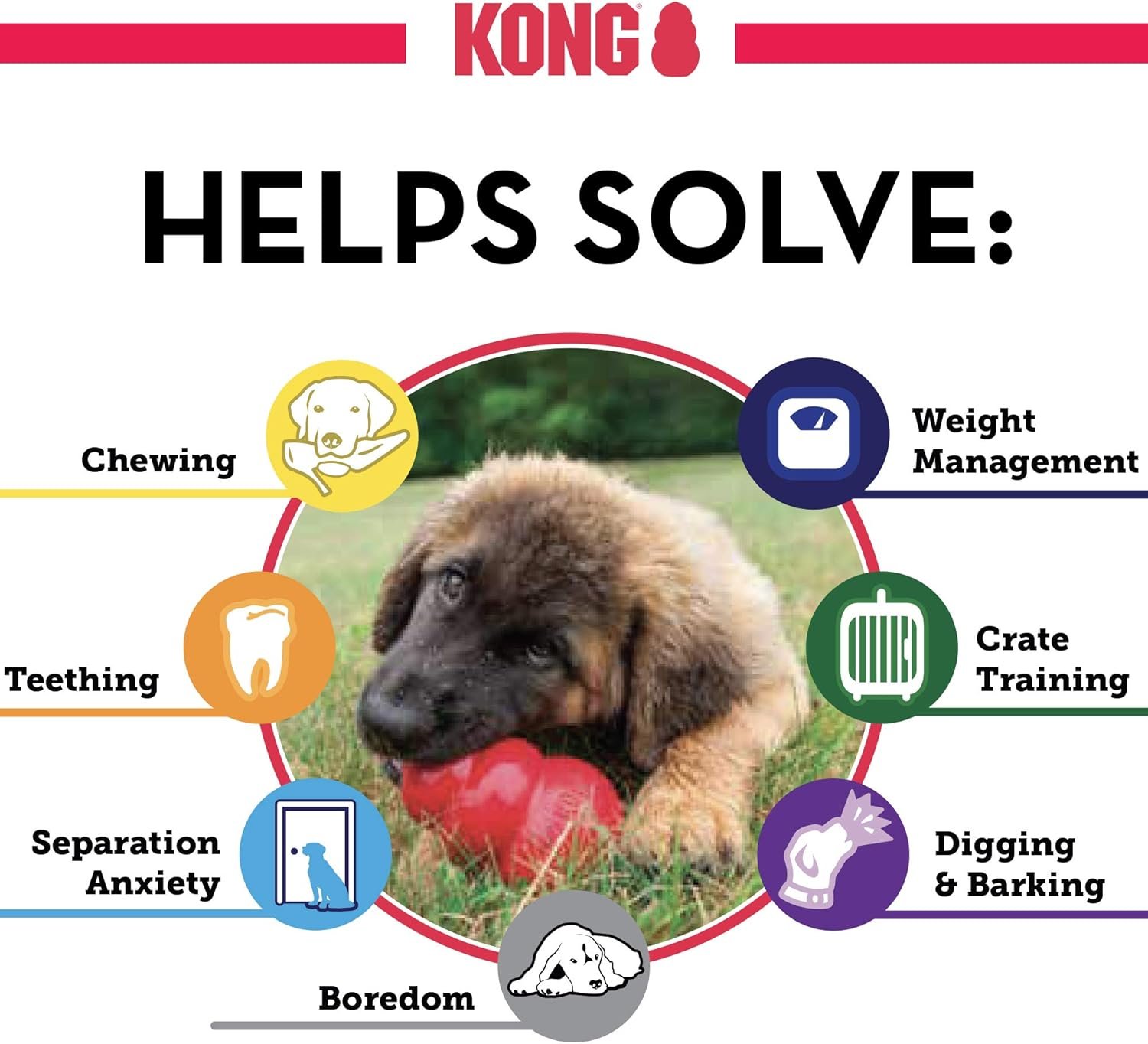 KONG Classic Stuffable Dog Toy - Fetch & Chew Toy for Dogs - Treat-Filling Capabilities & Erratic Bounce for Extended Play Time - Durable Natural Rubber Material - for Medium Dogs - Image 6
