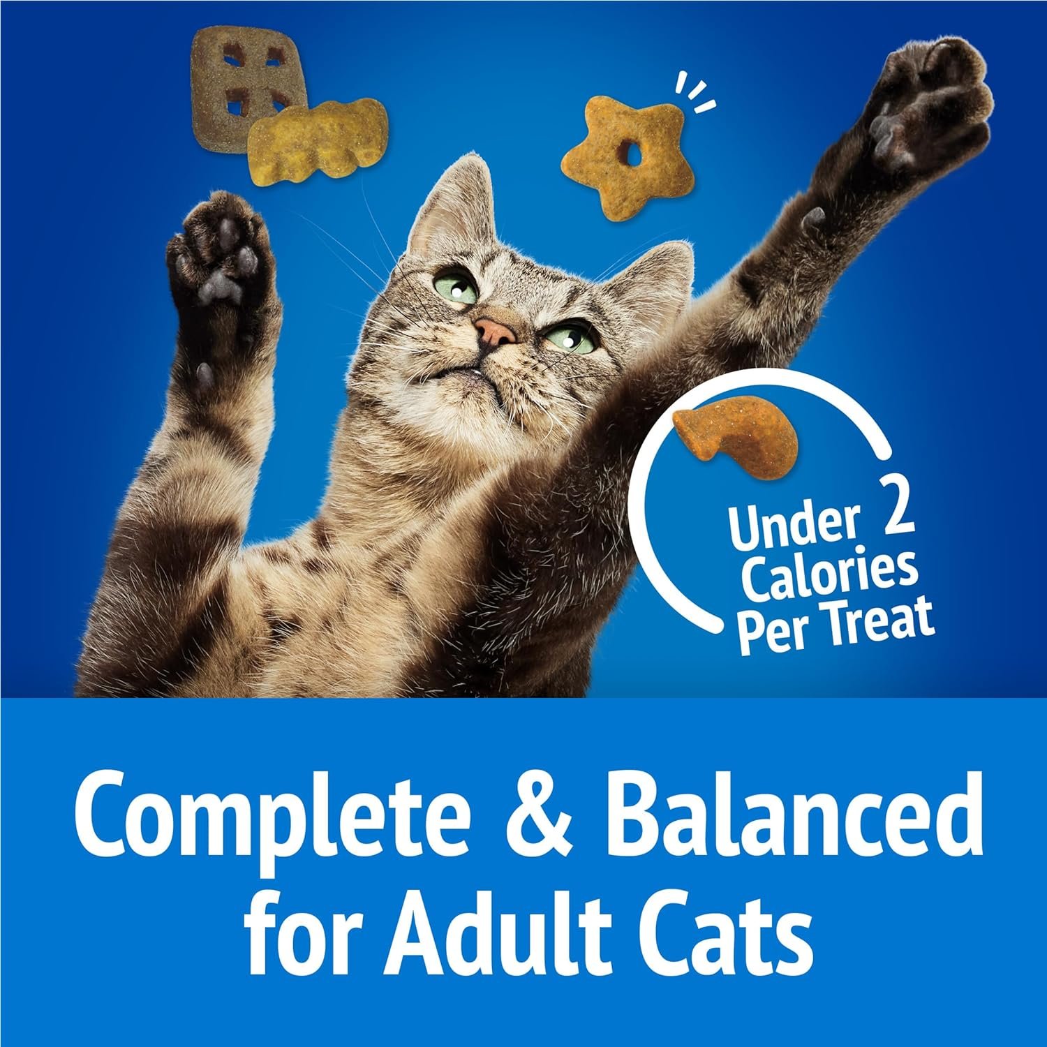 Purina Friskies Cat Treats, Party Mix Beachside Crunch - 20 oz. Pouch - Image 8