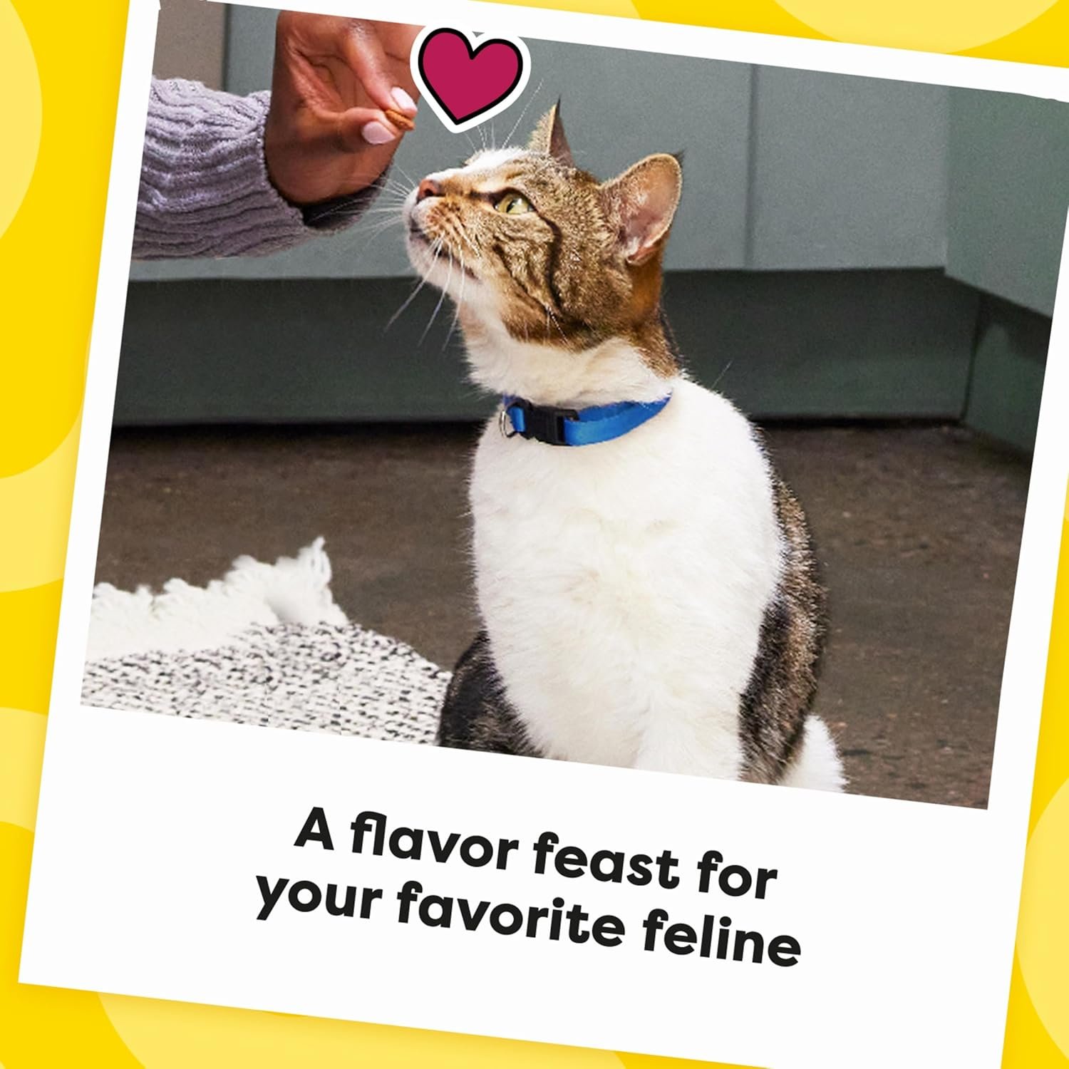 Temptations MixUps Catnip Fever Flavor Crunchy and Soft Cat Treats, 30 oz. Tub - Image 11