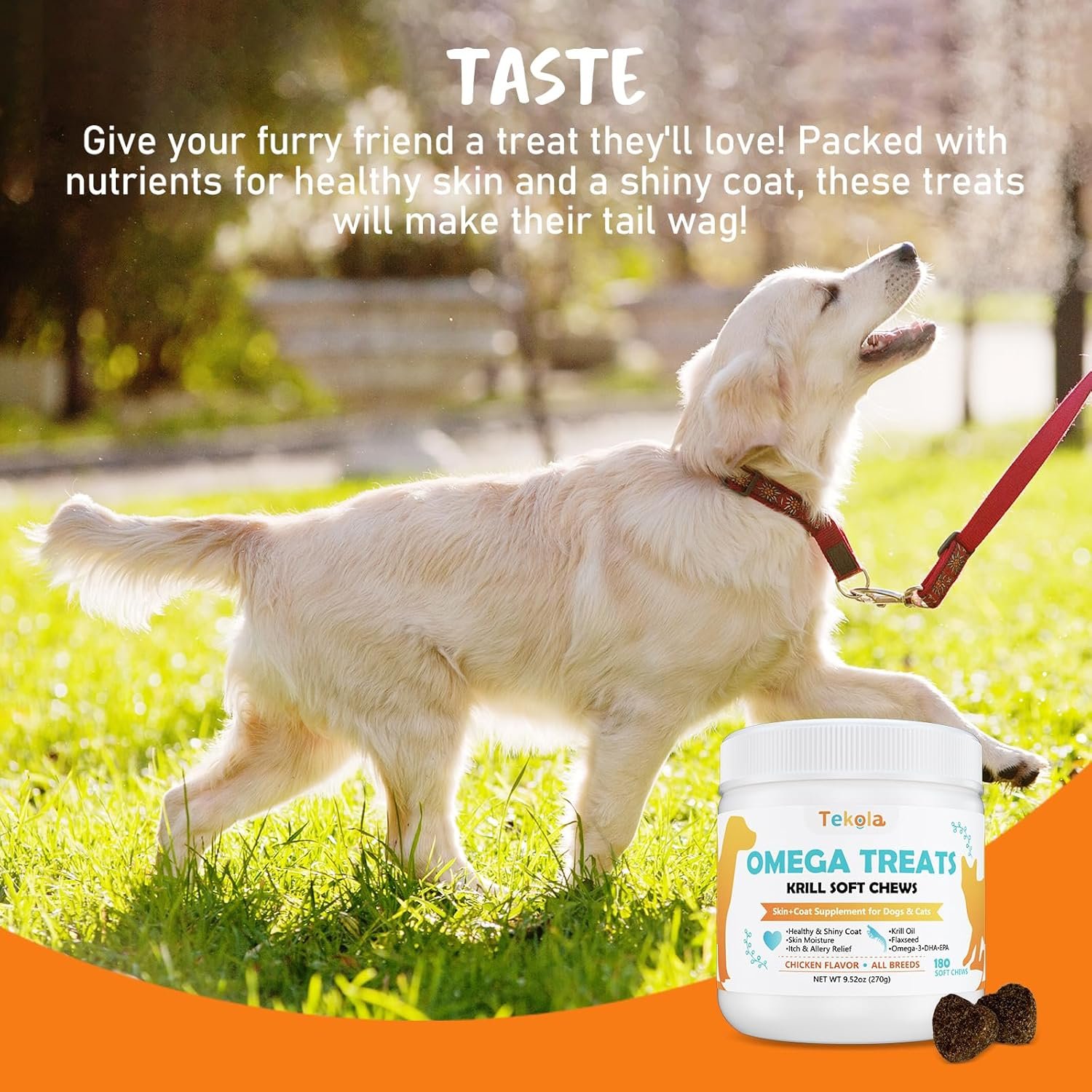 180 Chews Omega 3 for Dogs & Cats - with Krill - Skin and Coat Supplement - Dry & Itchy Skin Relief - Allergy Relief - Shiny Coats - No Shedding - EPA & DHA, Vitamins and Minerals - Chicken Flavor - Image 5
