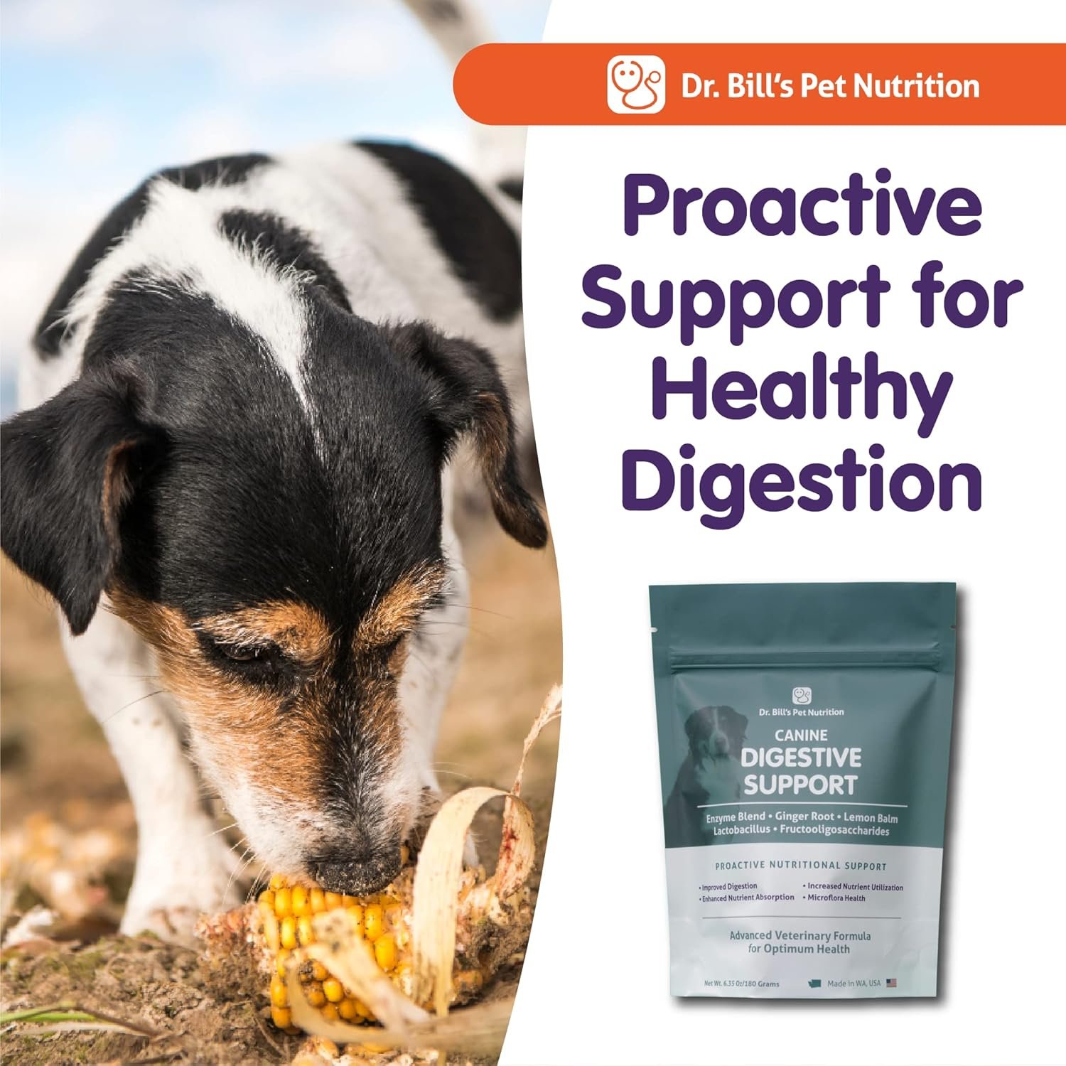Dr. Bill’s Canine Digestive Support | Probiotics & Prebiotics for Dogs | Gut Health Pet Supplements | Contains Ginger Root, Psyllium Husk, Lemon Balm and Bifidobacterium - Image 10