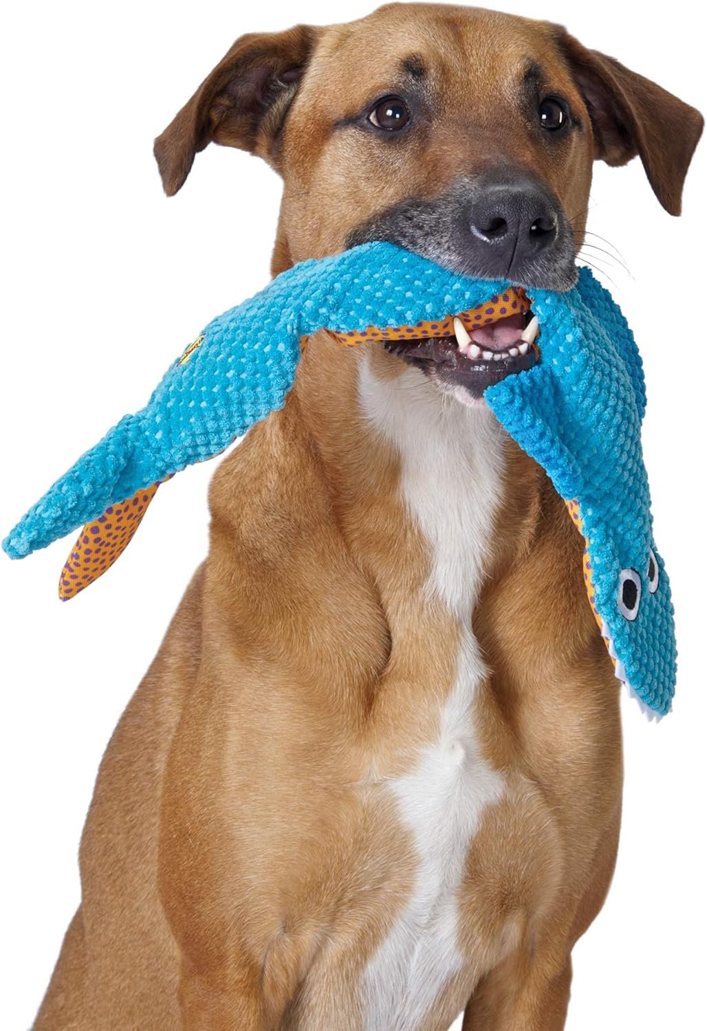 Petstages Stuffing-Free Floppy Shark Plush Dog Toy, Large - Image 9