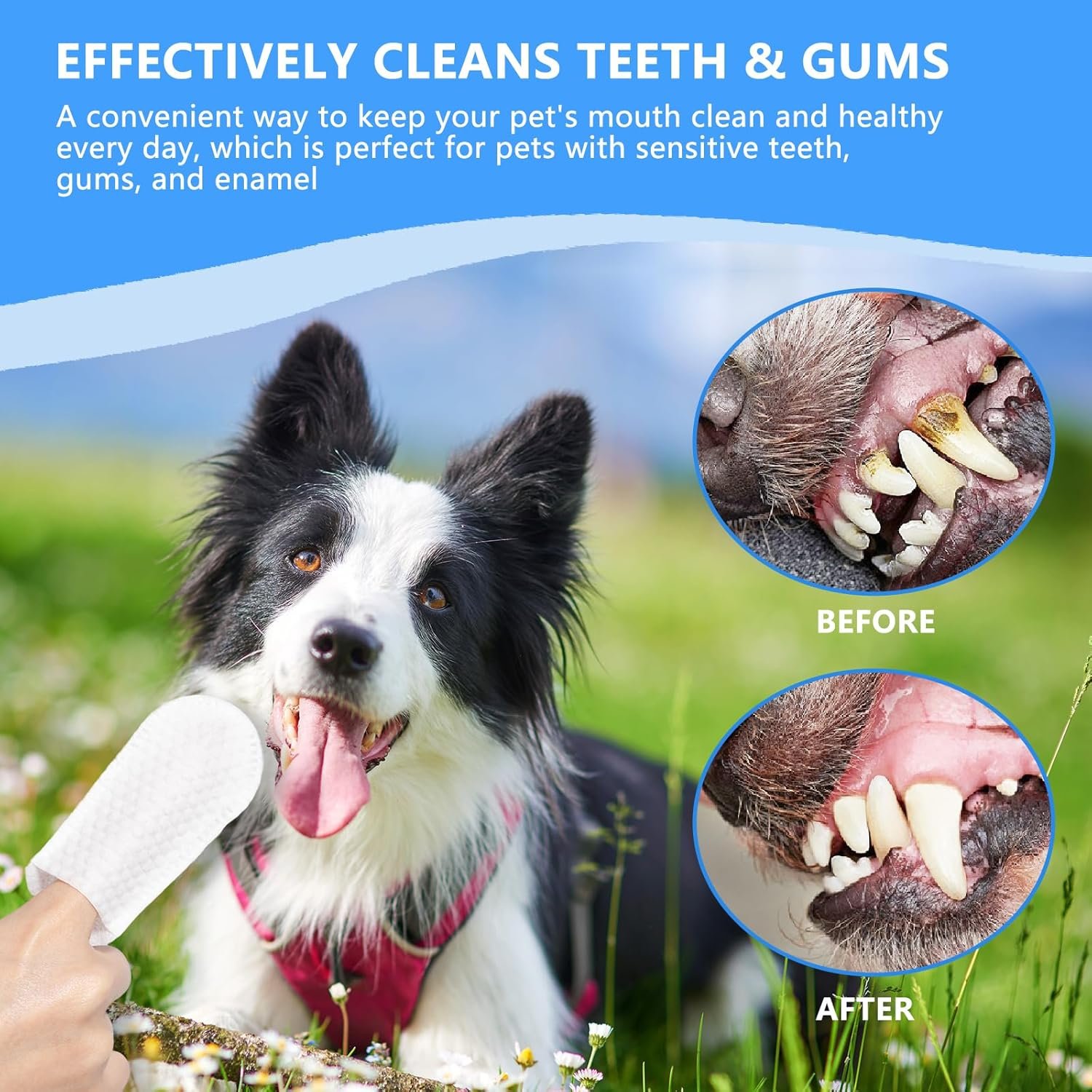 CuteBone Pet Dental Finger Wipes - 50 Count, Easy Oral Care for Cats & Dogs, Disposable, Stress-Free - Image 3