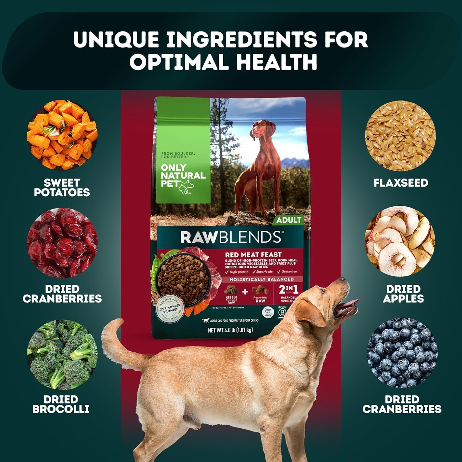 Only Natural Pet Raw Blends Infused Grain Dog Food, High Protein All-Natural Whole Ingredients & 100% Raw Meat Bites, Red Meat Feast, Low Phosphorus, Dehydrated Mix for Large Breed & Picky Eaters, 4lb - Image 3