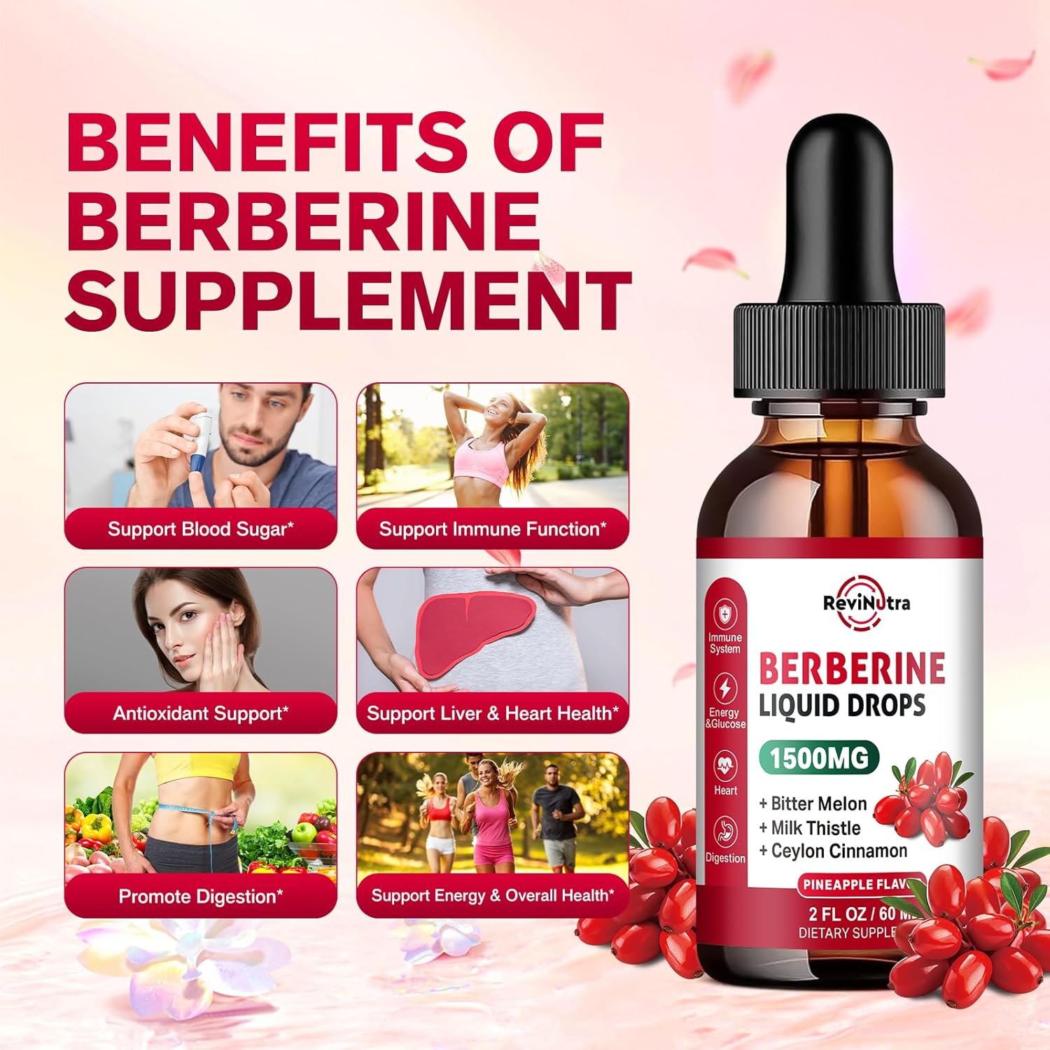 Berberine HCL Liquid Drops, 1500mg Berberine Supplement with Ceylon Cinnamon, Bitter Melon, Milk Thistle for Immune, Digestion System & Heart Health, 2 Fl Oz, Sugar-Free Pineapple Flavor - Image 4