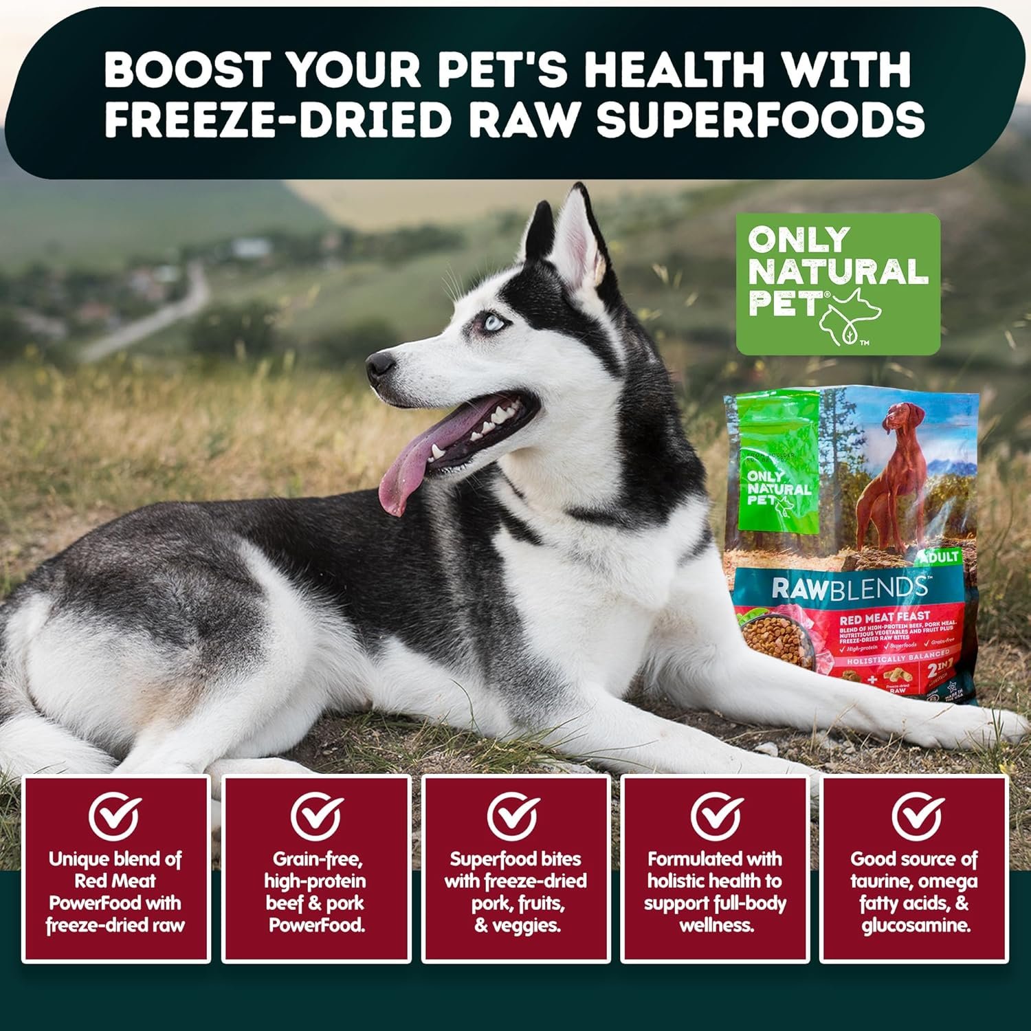 Only Natural Pet Raw Blends Infused Grain Dog Food, High Protein All-Natural Whole Ingredients & 100% Raw Meat Bites, Red Meat Feast, Low Phosphorus, Dehydrated Mix for Large Breed & Picky Eaters, 4lb - Image 5