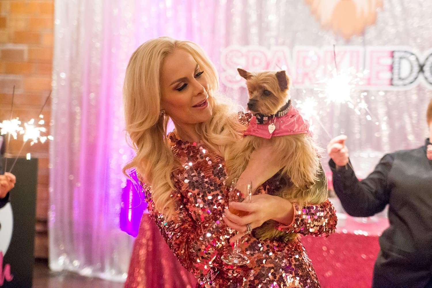 Multivitamin Daily Supplement Soft Chews for Dogs - Dietary Support for Small Medium or Large Pets - for Active Working & Senior Canines - 60 Chews - Image 4