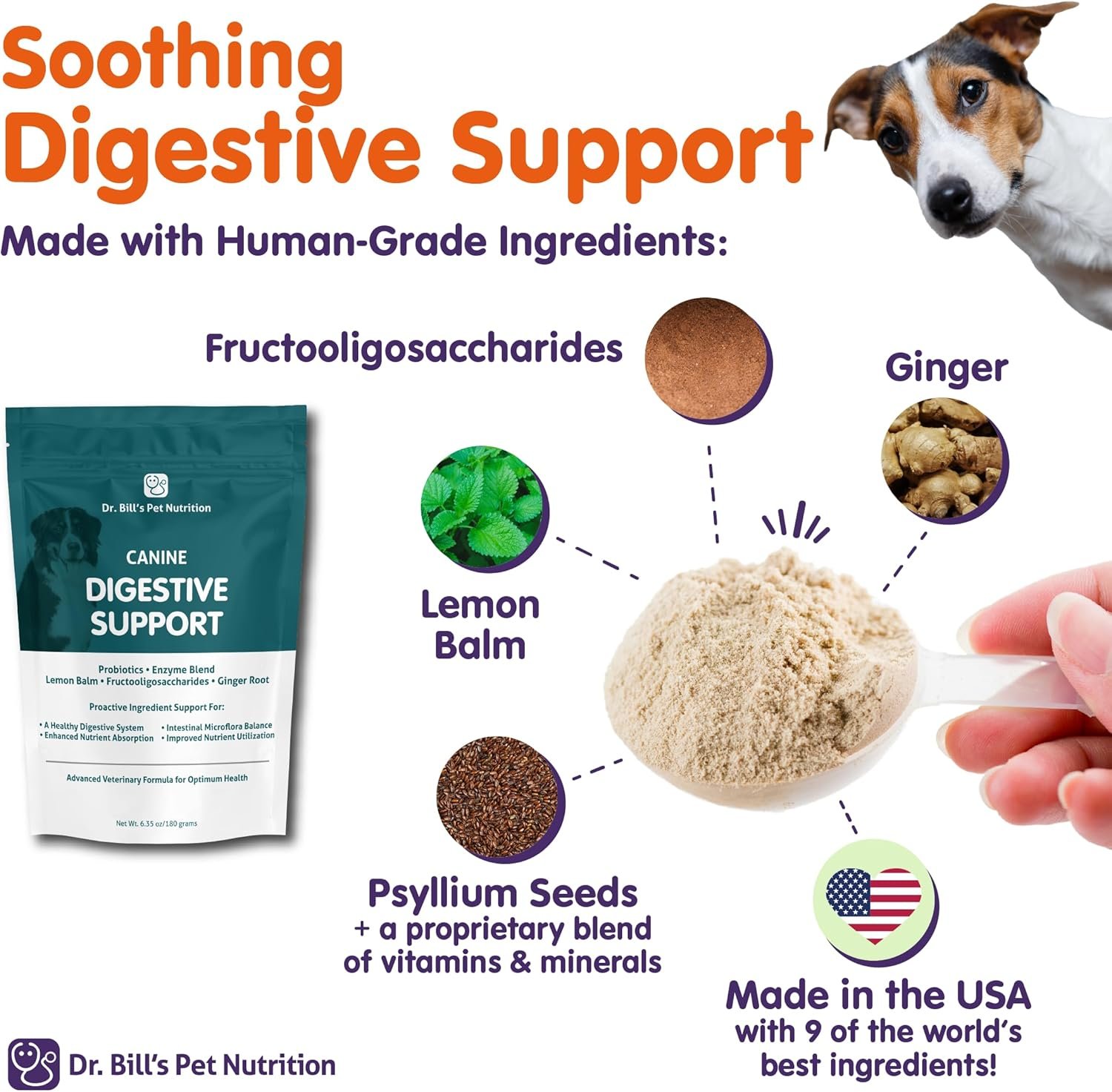 Dr. Bill’s Canine Digestive Support | Probiotics & Prebiotics for Dogs | Gut Health Pet Supplements | Contains Ginger Root, Psyllium Husk, Lemon Balm and Bifidobacterium - Image 9