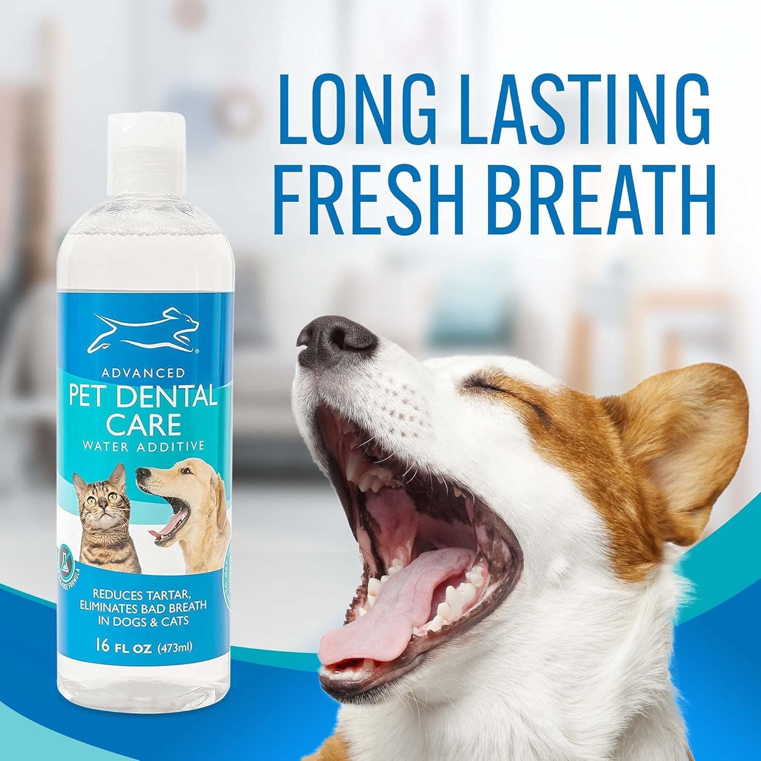 Emmy's Best EBPP Advanced Pet Dental Care Water Additive - Premium Cat & Dog Dental Care and Dog Breath Freshener - No Brush Formula Tartar & Plaque Remover for Dogs Teeth - Image 6