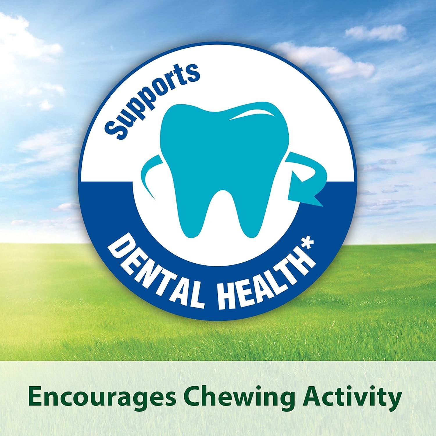 Kaytee Timothy Hay Blend Cubes for Pet Rabbits, Guinea Pigs, Chinchillas, and Other Small Animals, 1 Pound - Image 5