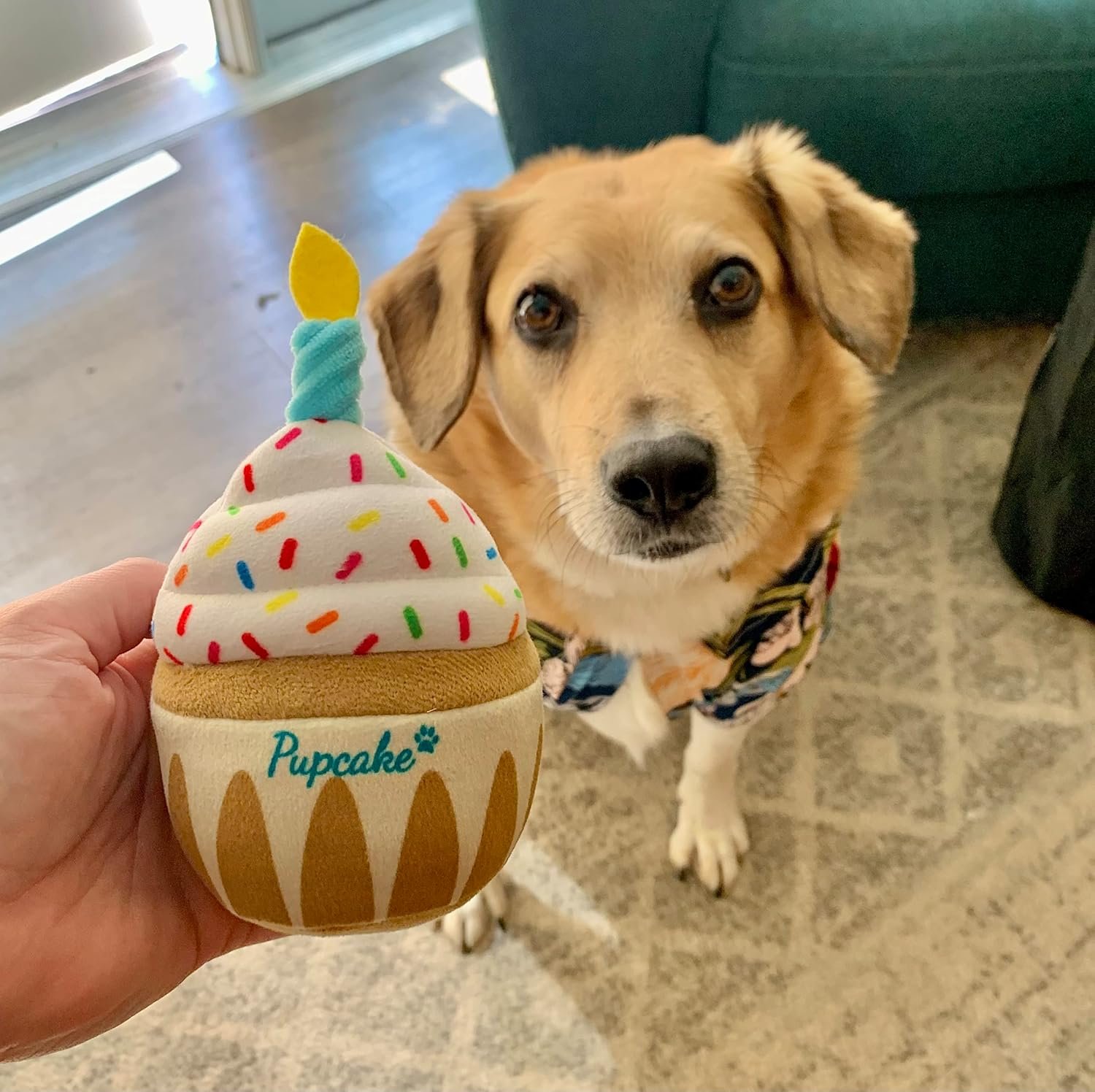 Nestpark Dog Birthday Toy - Pup Cake Puppy Cupcake Plush Squeak and Crinkle Gift - Image 4