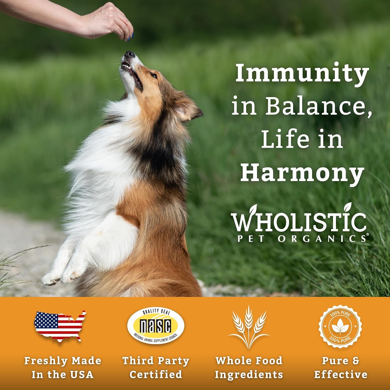 Wholistic Pet Organics Pure Colostrum - 1 Oz - Dog Allergy Relief & Itchy Skin Treatment, Senior Dog Supplements & Immune Support, Licking Paws Relief - Image 7