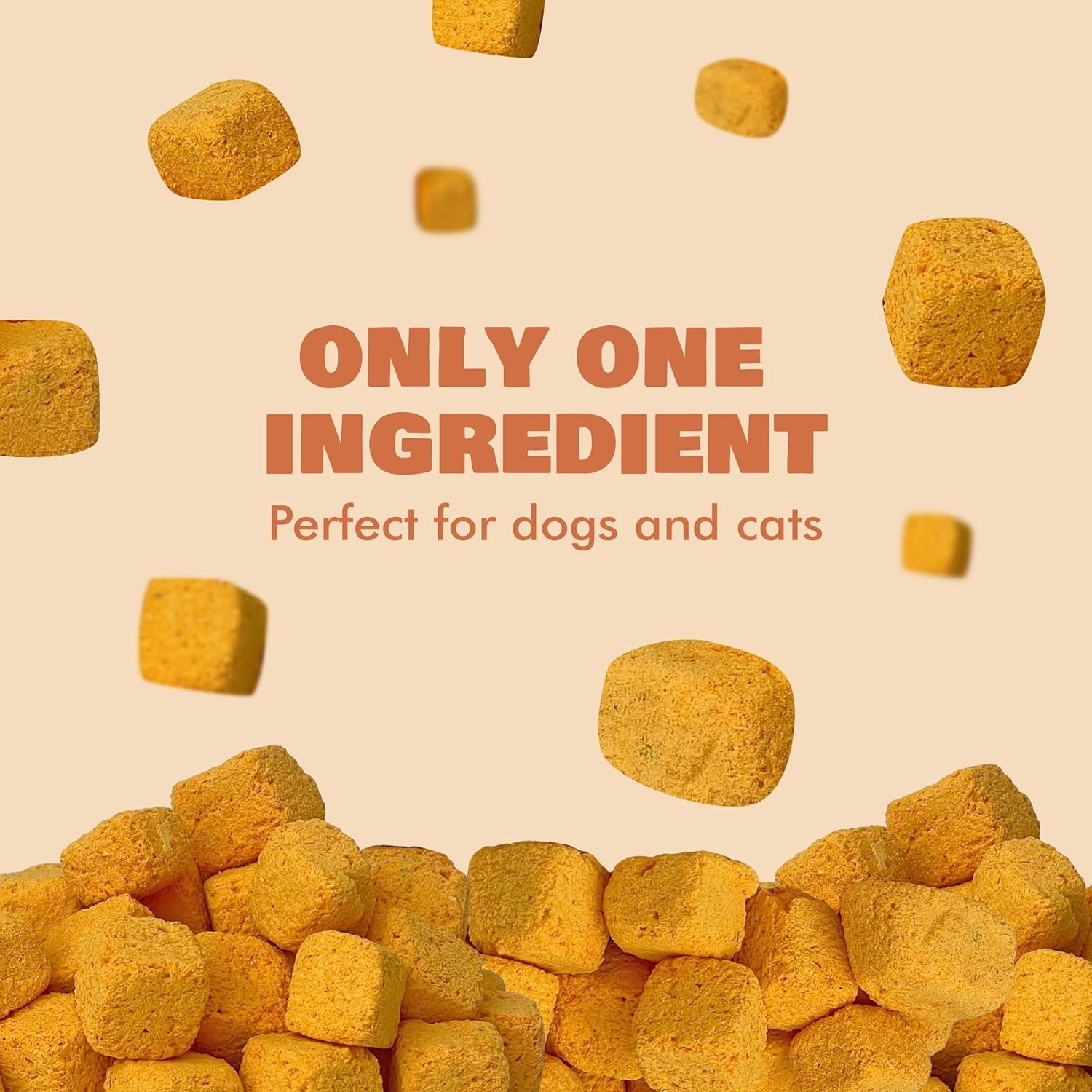 Benji & Louie Freeze Dried Pumpkin - Natural Healthy Dog and Cat Treats, Single Ingredient, 2 oz - Image 3
