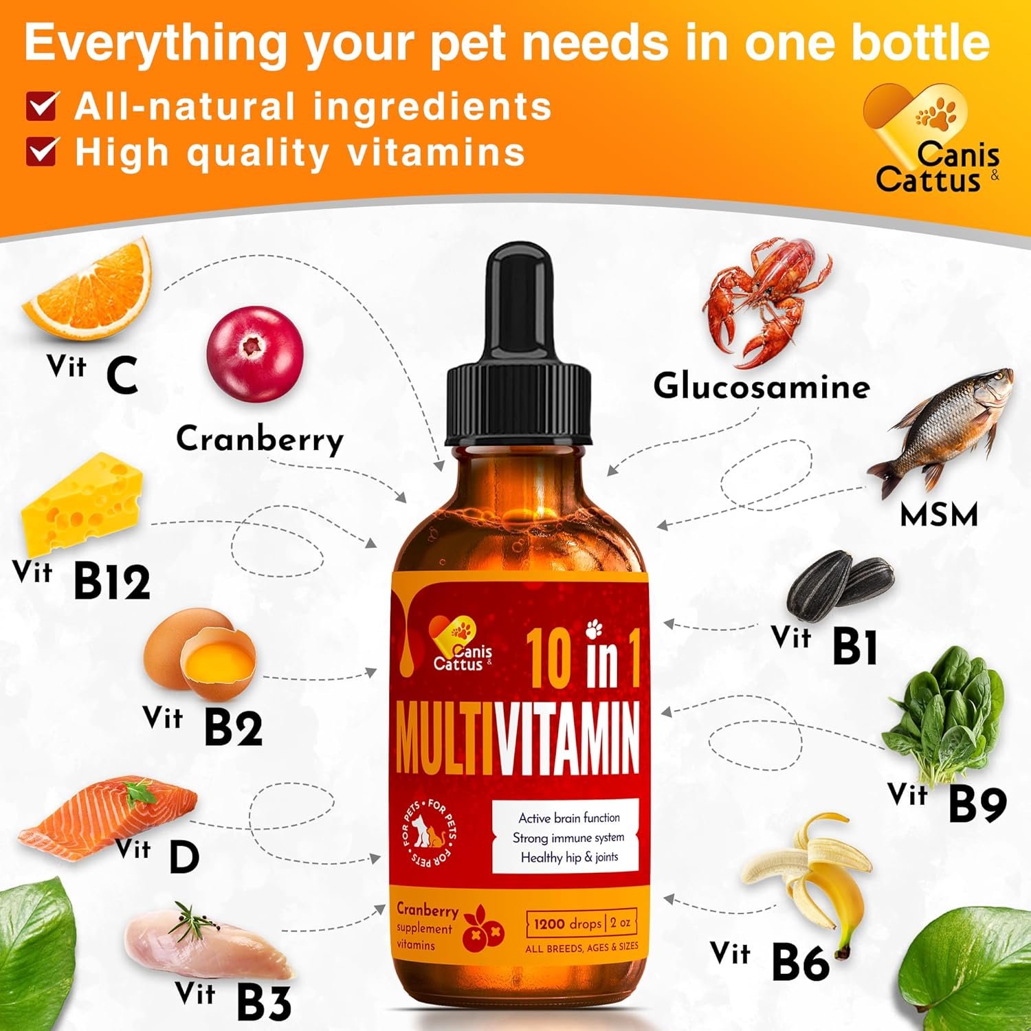 Liquid Multivitamin for Dogs & Puppies | Multivitamin for Cats & Kittens | Dog Multivitamin Liquid | Cat Multivitamins for Indoor Cats | Multivitamin for Dogs | Vitamin Mix | Cranberry Flavor | 2 Oz - Image 4