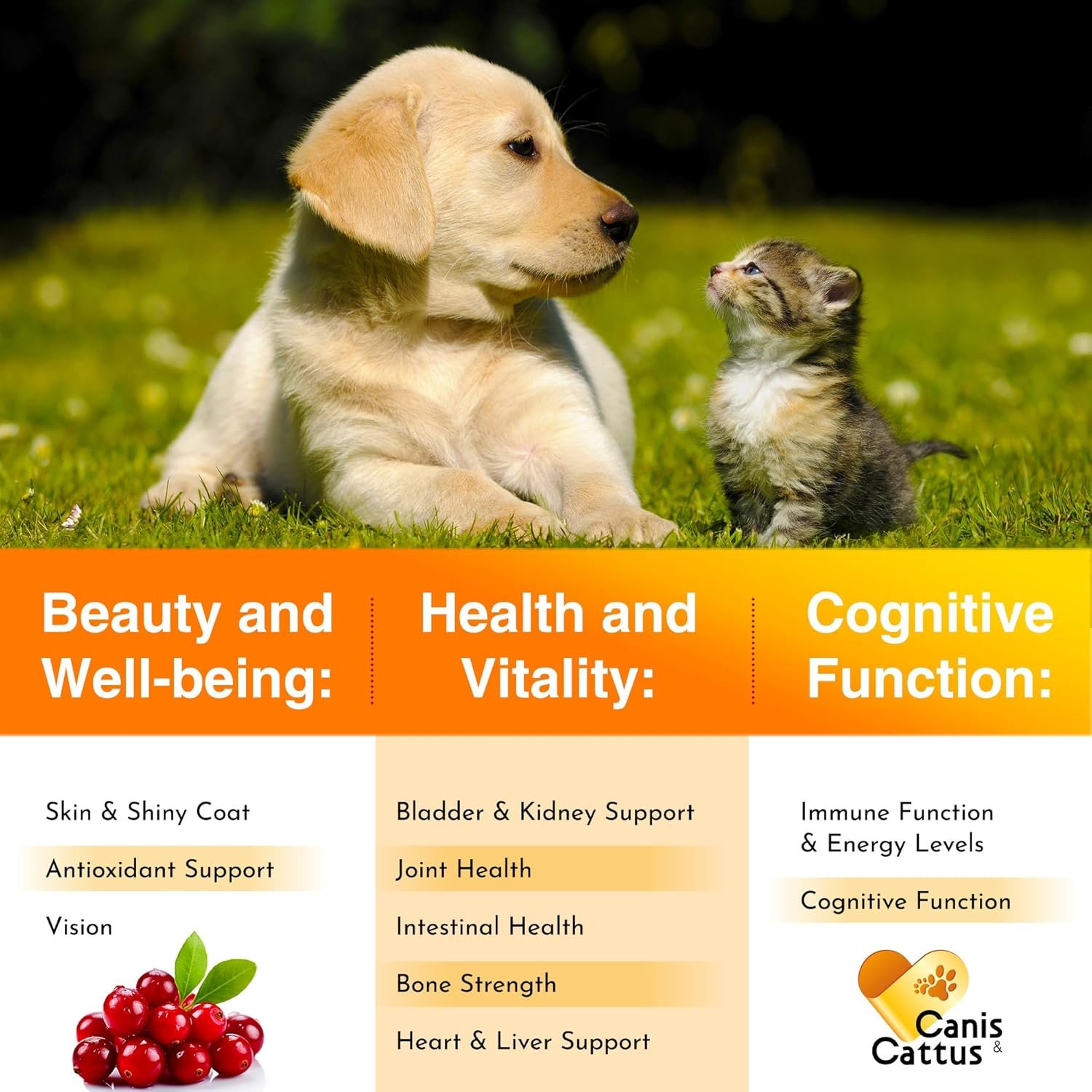 Liquid Multivitamin for Dogs & Puppies | Multivitamin for Cats & Kittens | Dog Multivitamin Liquid | Cat Multivitamins for Indoor Cats | Multivitamin for Dogs | Vitamin Mix | Cranberry Flavor | 2 Oz - Image 3