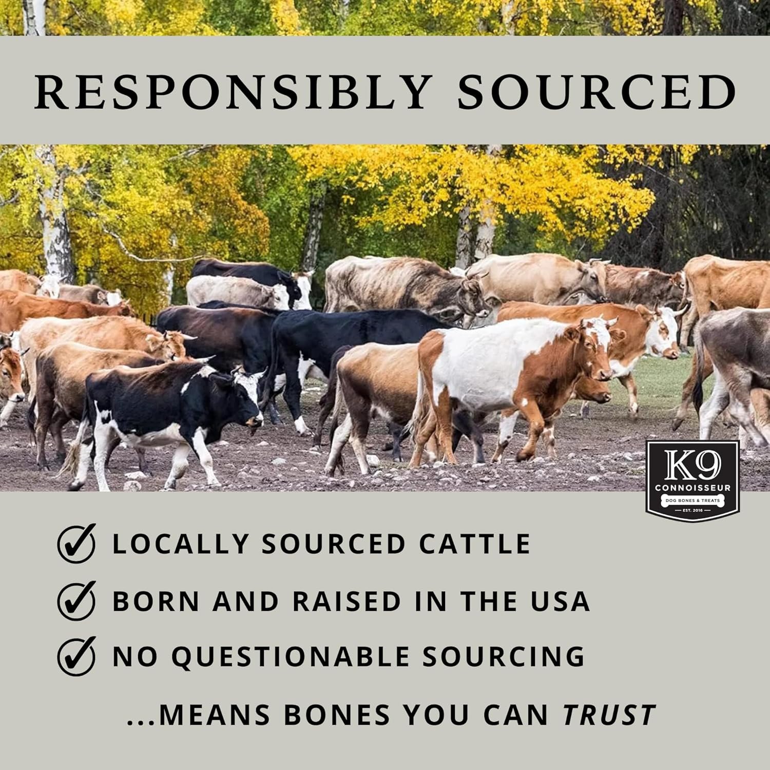 K9 Connoisseur Low to Odor Free Slow Roasted Beef Lung Dog Treats Made in USA, One Ingredient Dog Treats & All Natural Dog Treats, Grain Free Dog Treats for All Breeds & Sizes - 2.5 Pounds - Image 6