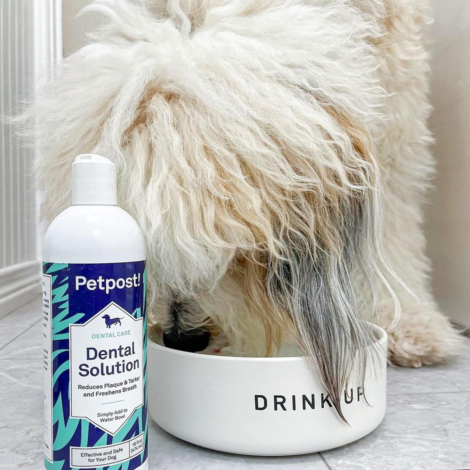 Petpost | Dental Solution for Dogs - Water Additive That Eliminates Bad Breath - Dirt, Gunk, and Tooth Buildup Gone - Natural Tooth Cleaning Solution 16 oz. - Image 7